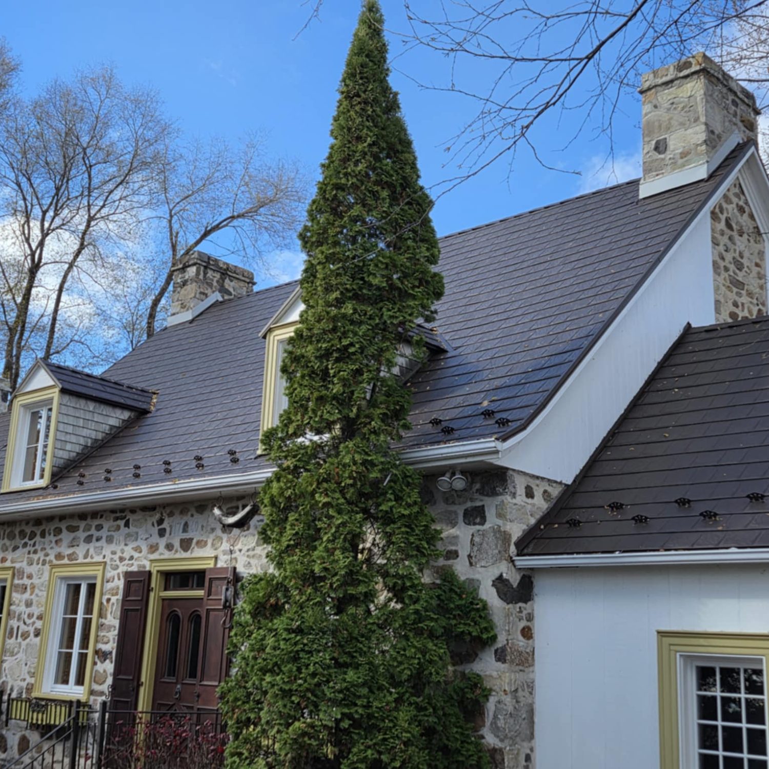 Maison en pierre avec cheminée, fenêtres à volets, toit en ardoise, mur blanc, et arbre vert montant le long de la façade, ciel bleu clair en arrière-plan.