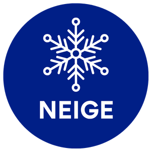 neige sur une toiture de tole au Québec