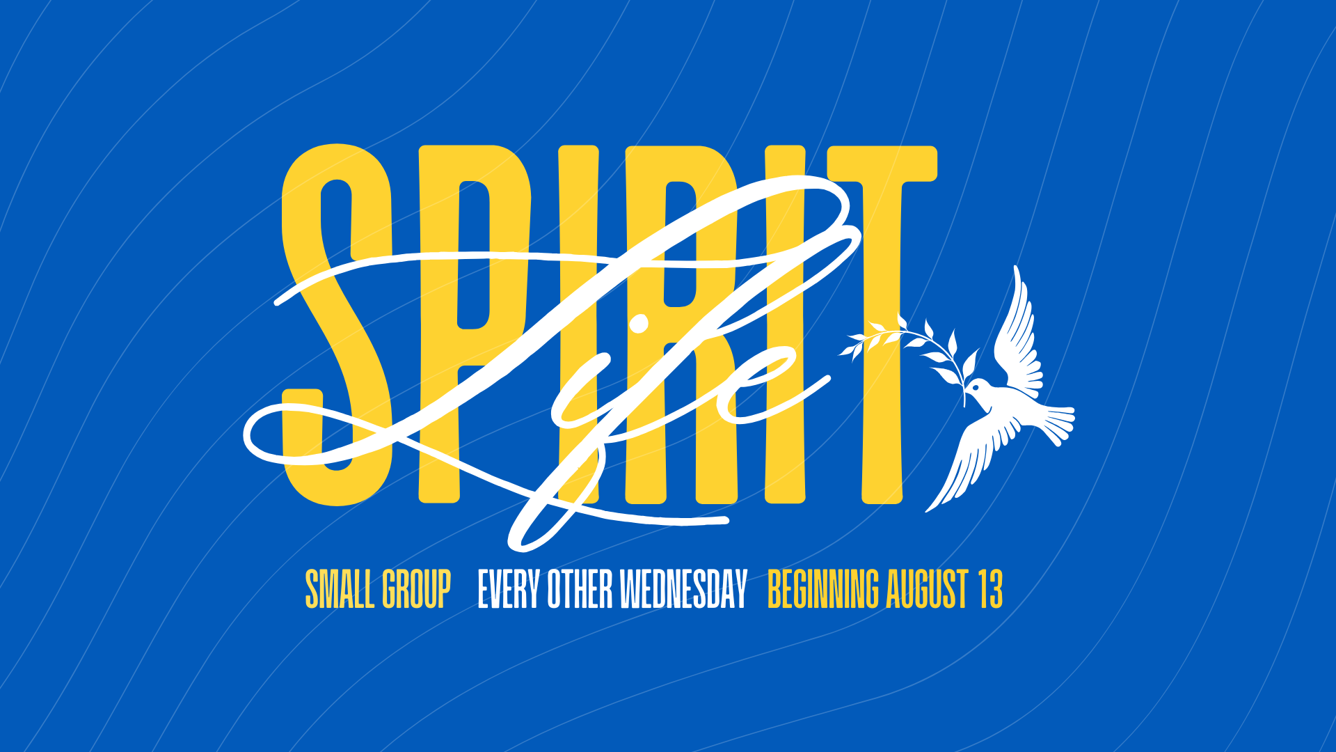 Spirit Life Group