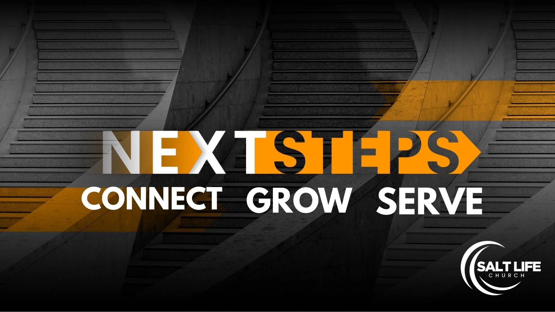 Next Steps - 101