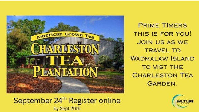 Prime Timers!  Charleston Tea Plantation Outing