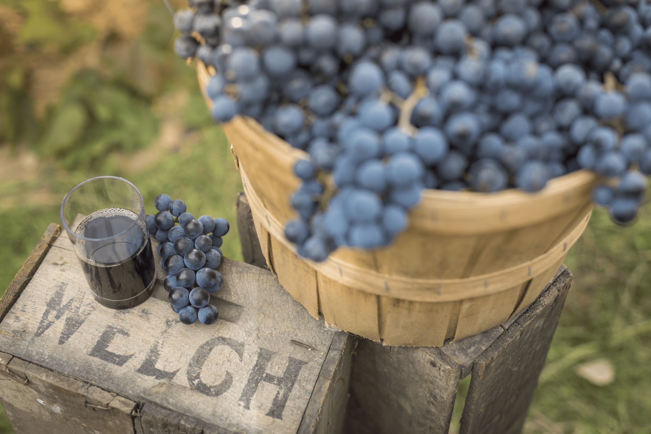 17-910-Element-Welchs--5829.png