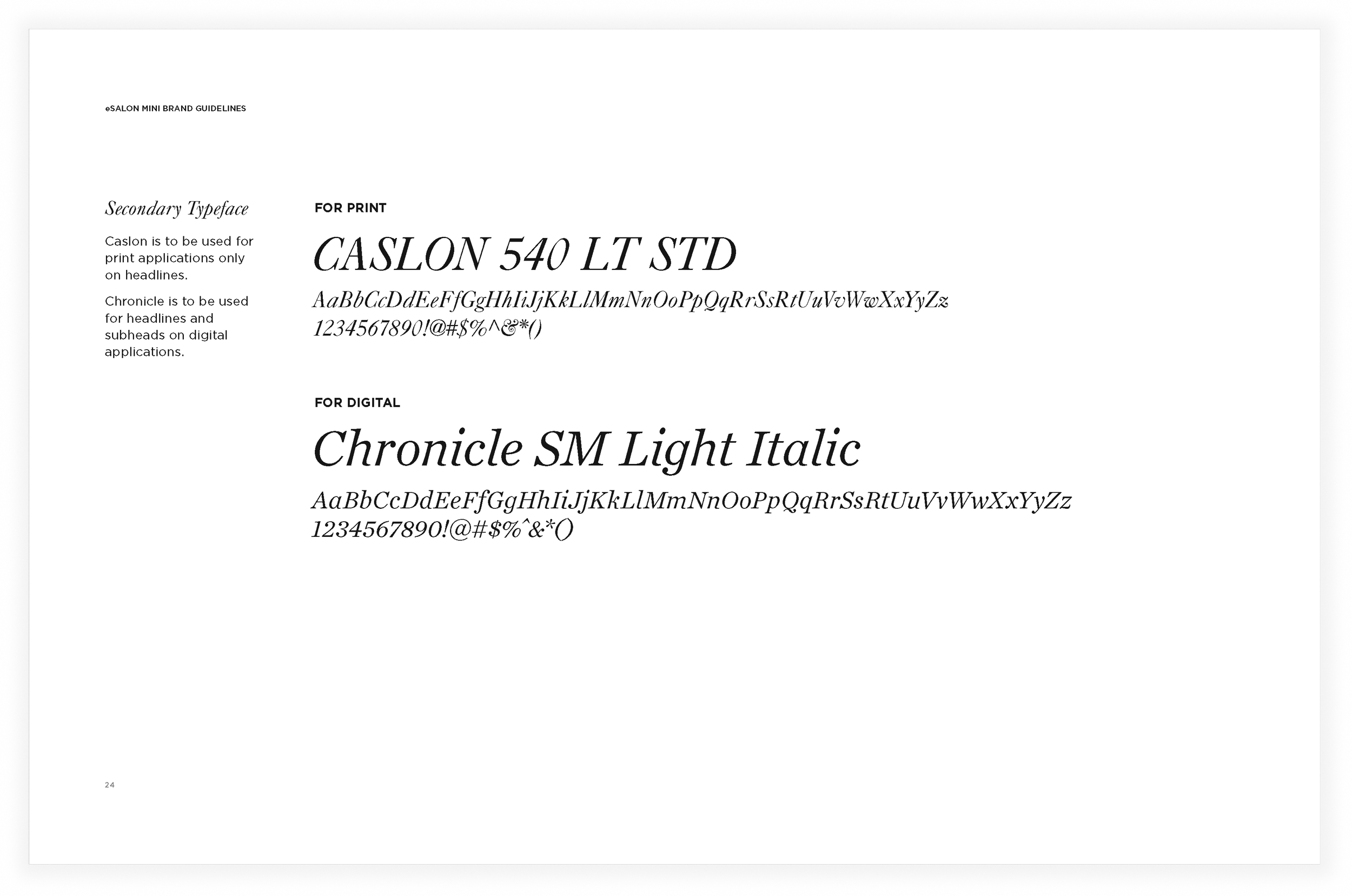 eSalon_BrandGuidelines_xs_Page_24 1.png