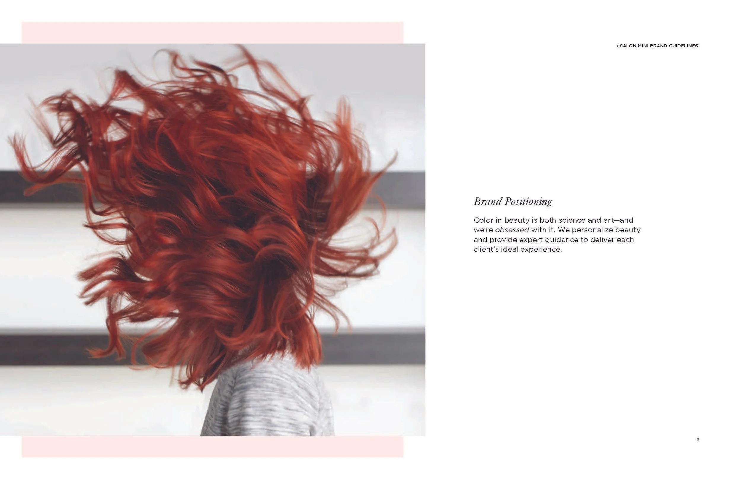eSalon_BrandGuidelines_xs_Page_06.jpg