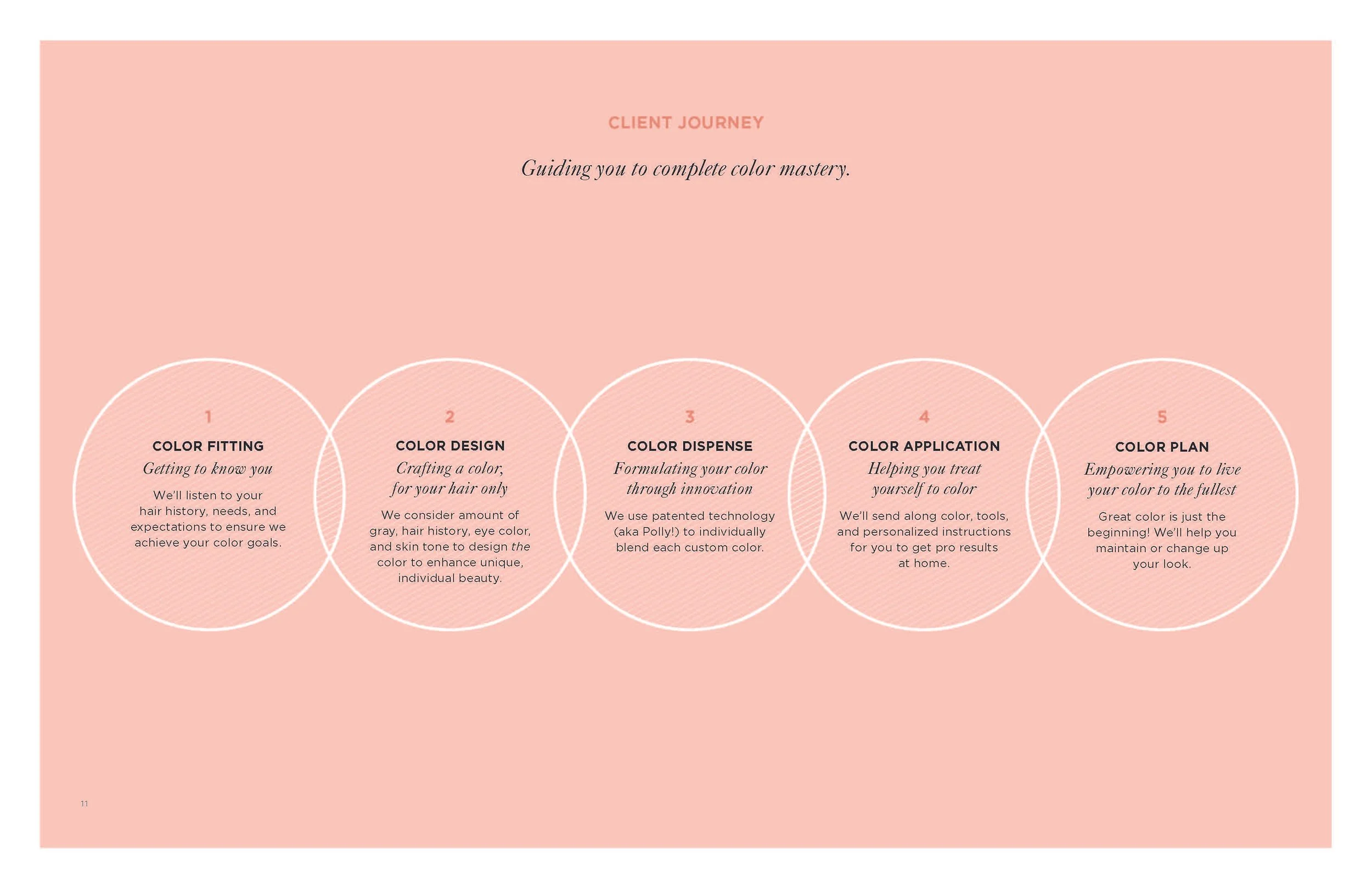 eSalon_BrandGuidelines_xs_Page_11.jpg