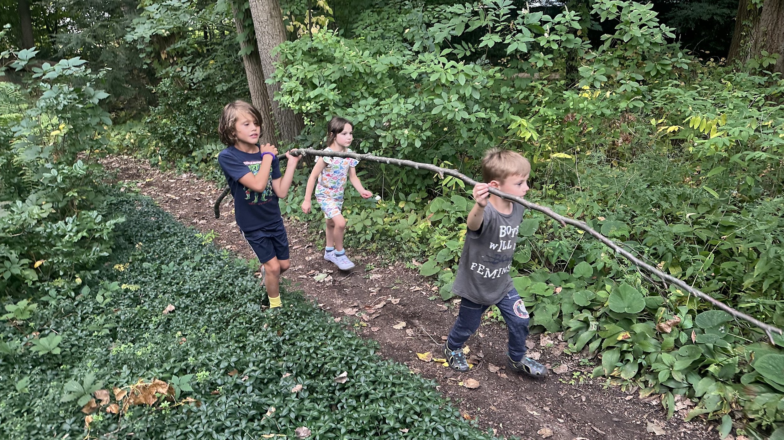 Three children are walking along a wooded trail, holding a long stick between them, surrounded by dense green foliage.