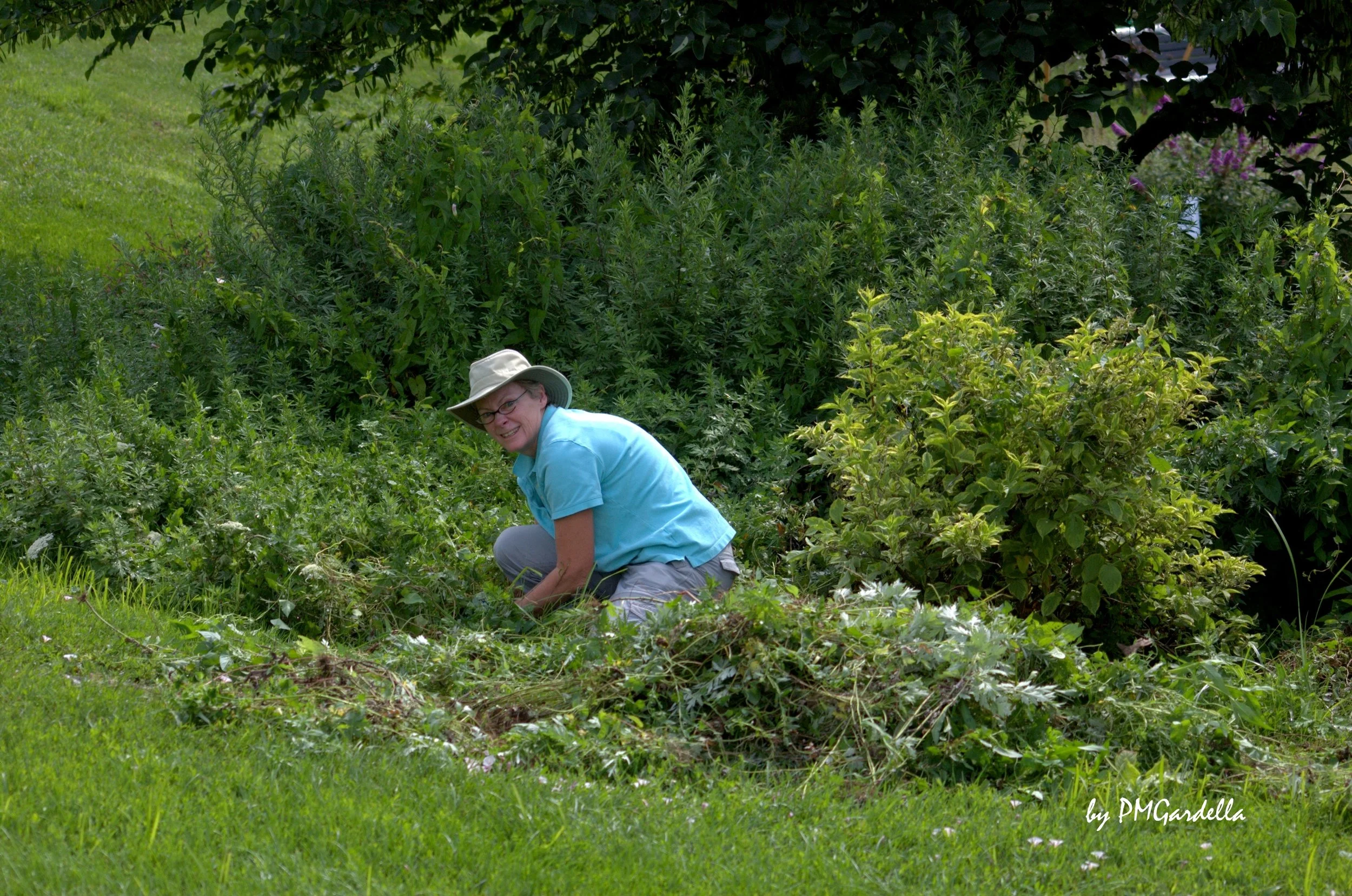 Gardening Team