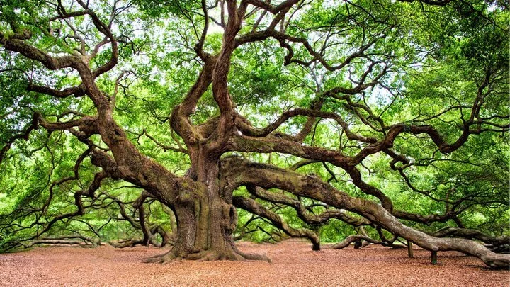 Nature Based Spirituality