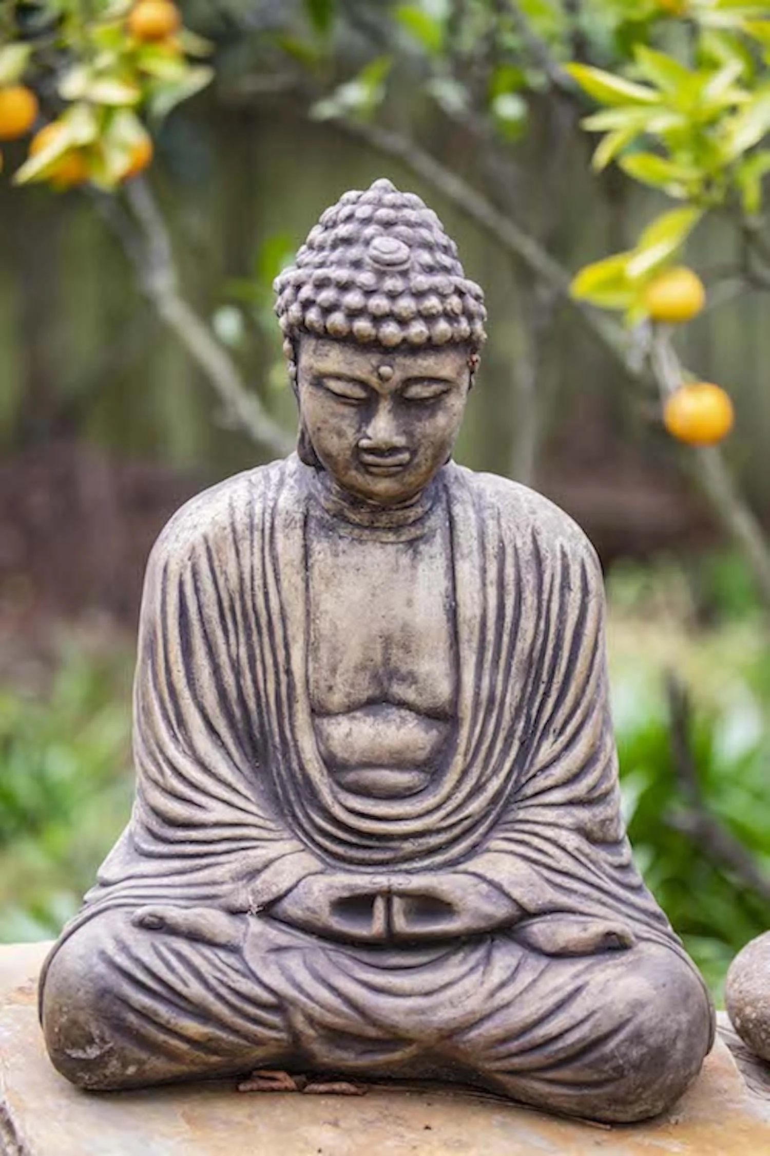 Buddhist Fellowship