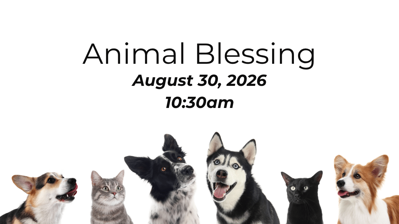 Animal Blessing