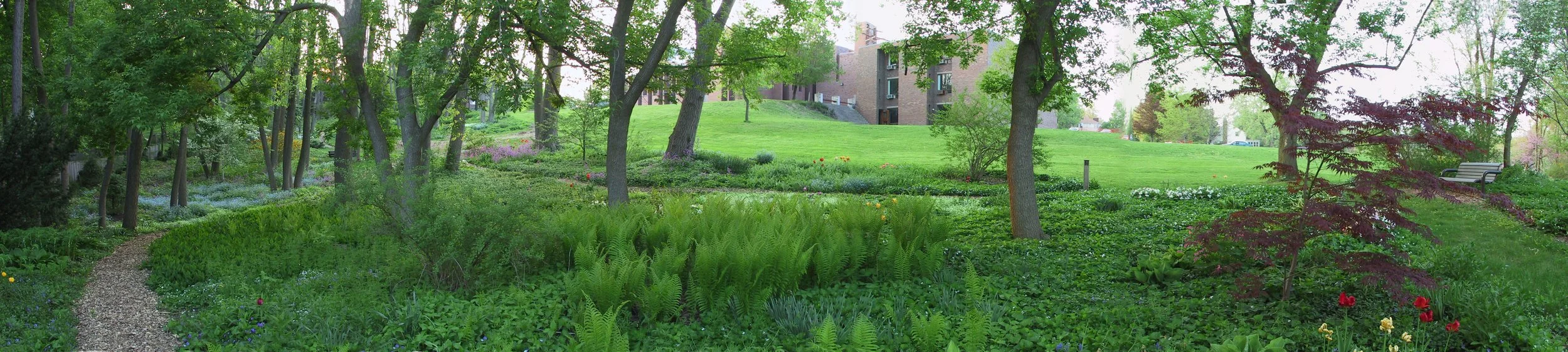 A lush green park with a winding gravel path, various trees, bushes, and flowering plants, with a building in the background.