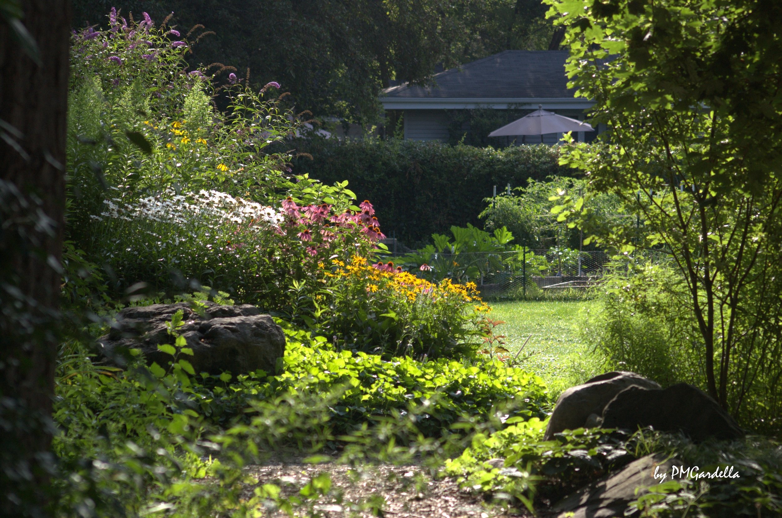 A backyard garden with various colorful flowers, trees, and a house with a patio umbrella in the background, viewed through a natural archway of greenery and rocks.
