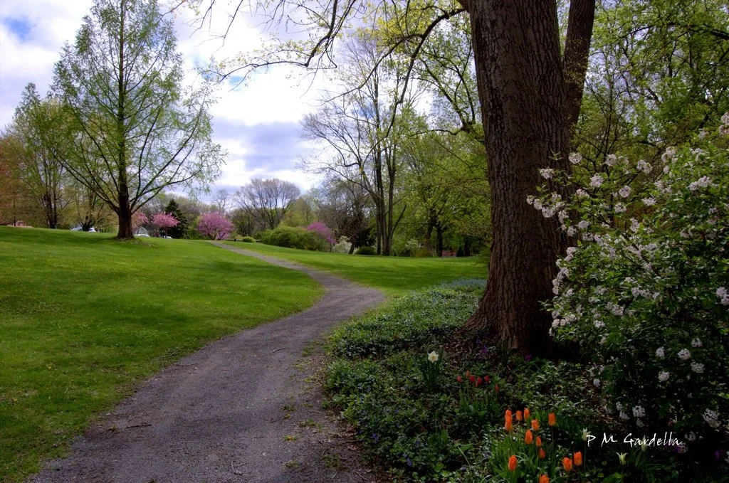 A scenic park with a winding gravel path, large trees, and blooming flowers in the spring.