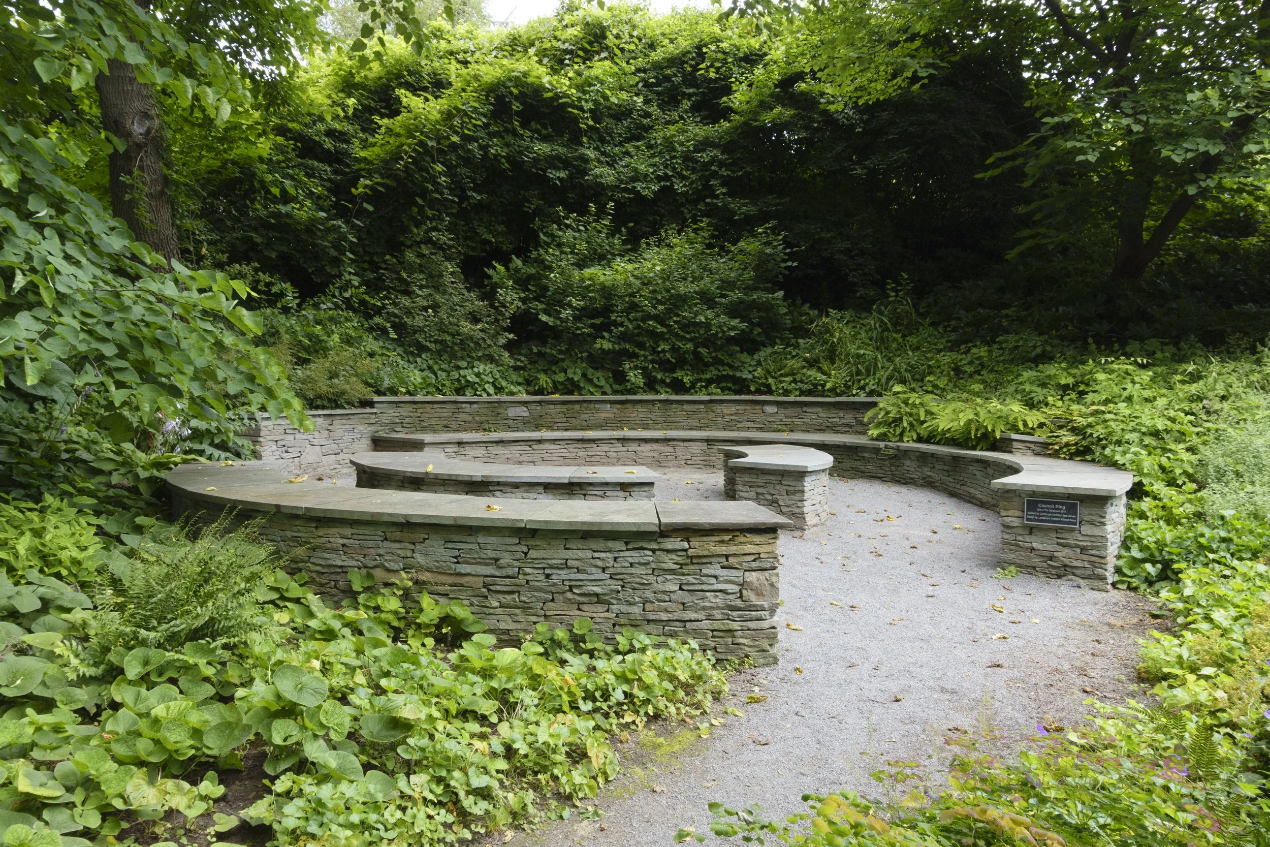 A circular stone bench surrounds a lush green tree in a park, with dense foliage and trees in the background.