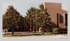 an exterior photo of the church and trees taken from the parking lot