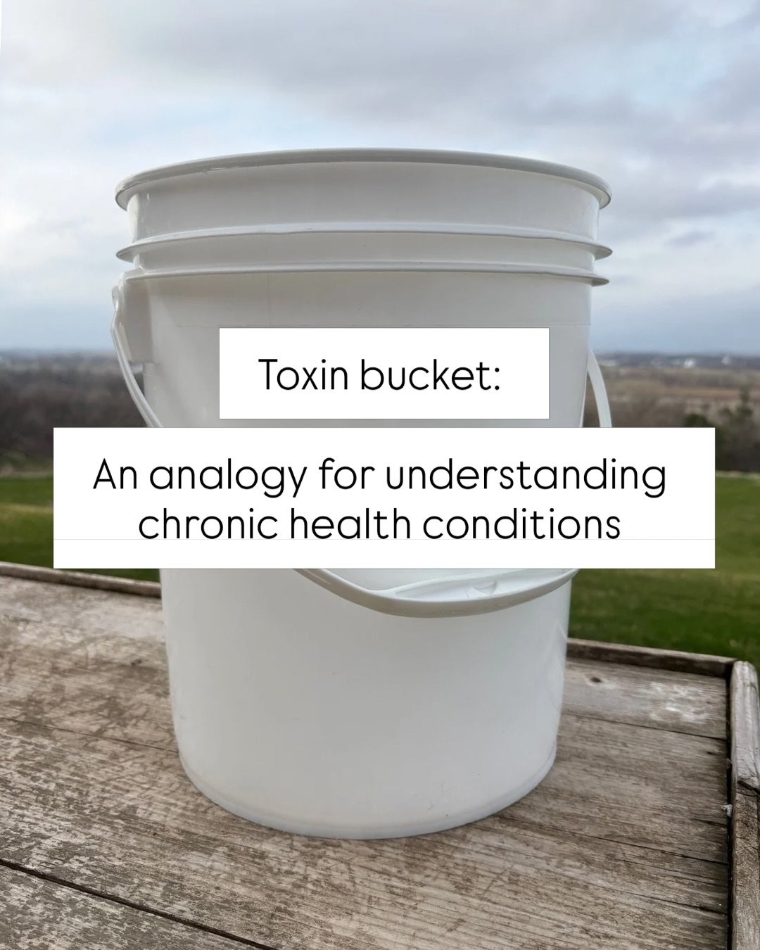 The health symptoms so many struggle with are really a cry from help from their bodies. As their toxin bucket continues to fill, their symptoms become louder and louder. Sometimes that means in severity of symptoms, sometimes that means in quantity o
