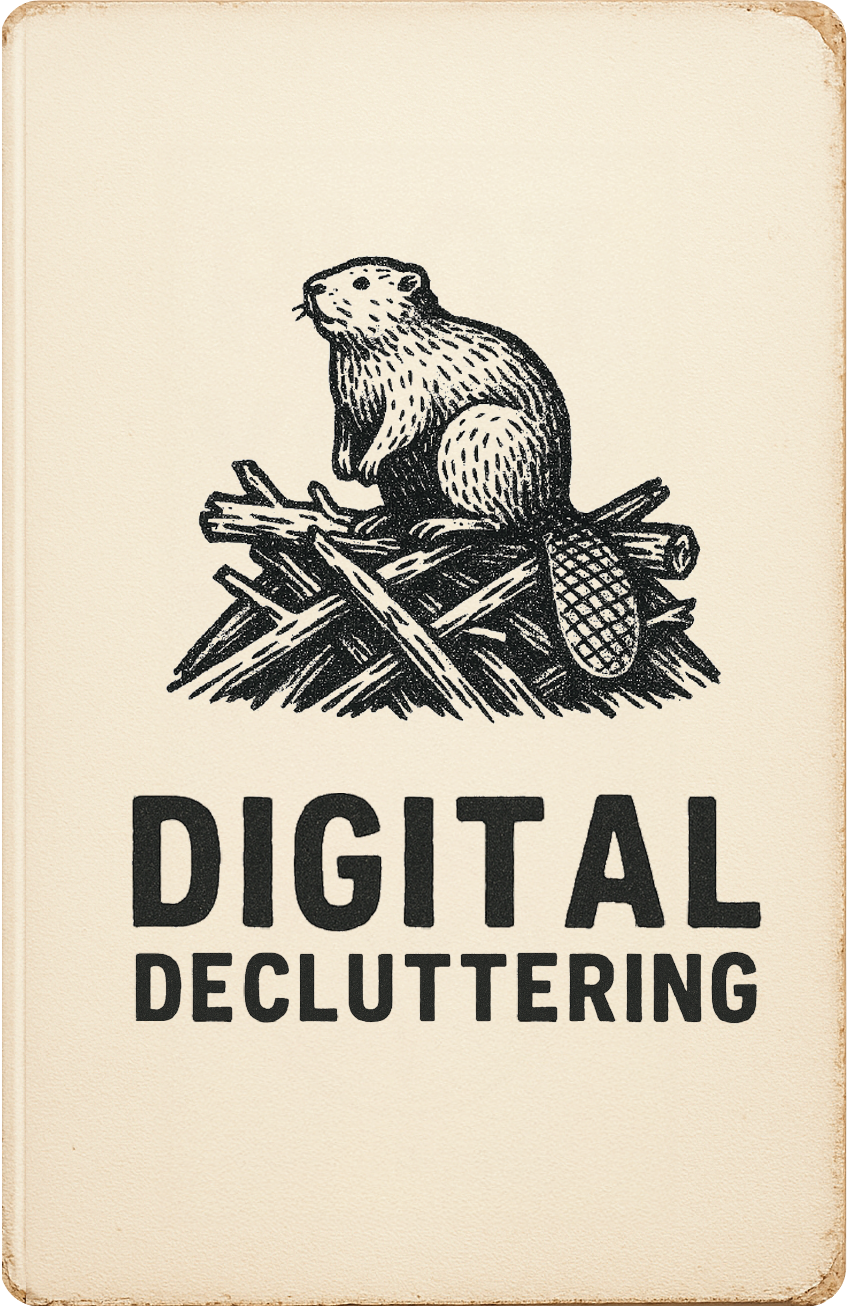 Illustration of a beaver on a dam with text "Digital Decluttering."