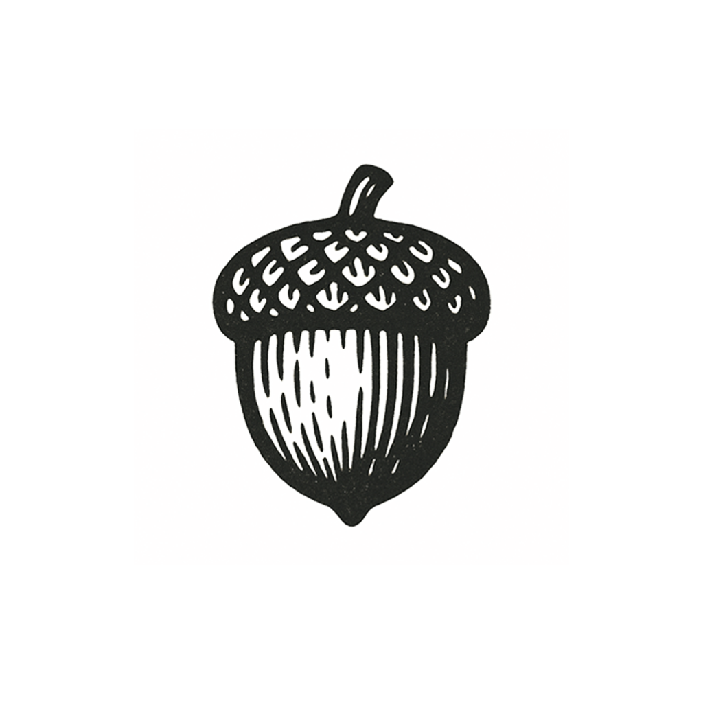 Black and white illustration of an acorn