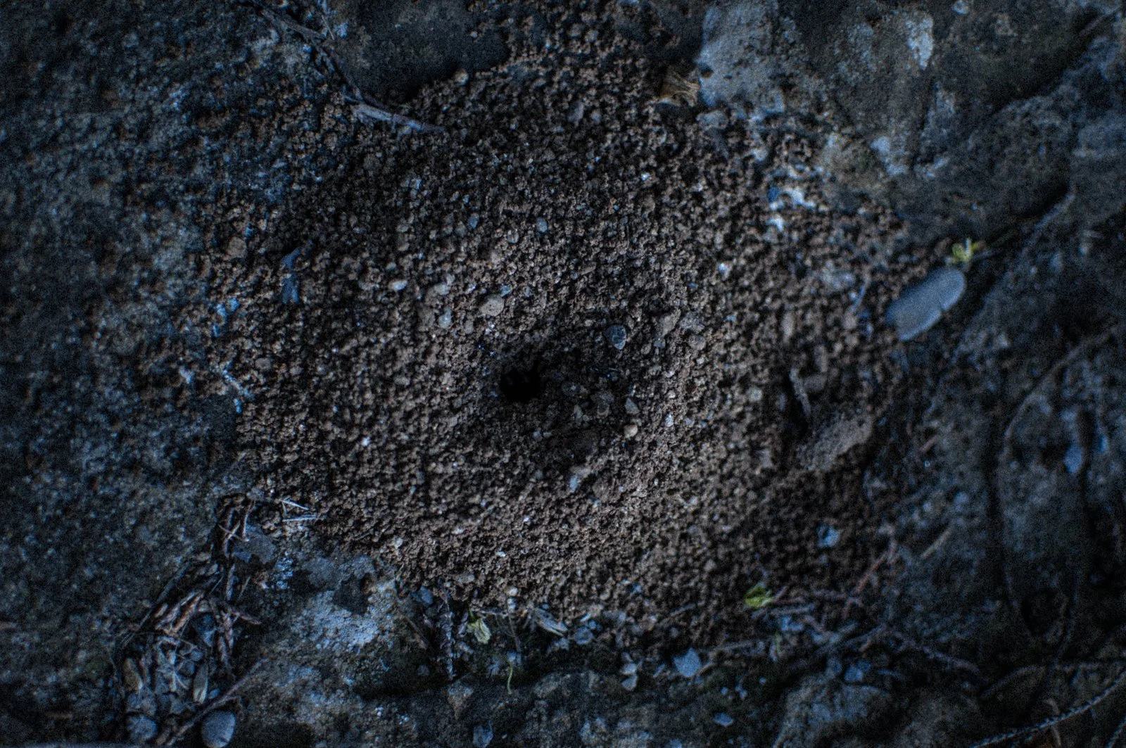 Photographier contre le monde-appareil