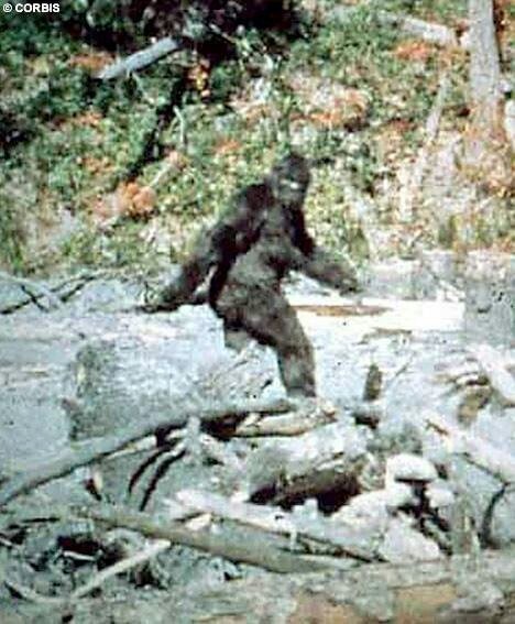 Bigfoot!!!!.jpg
