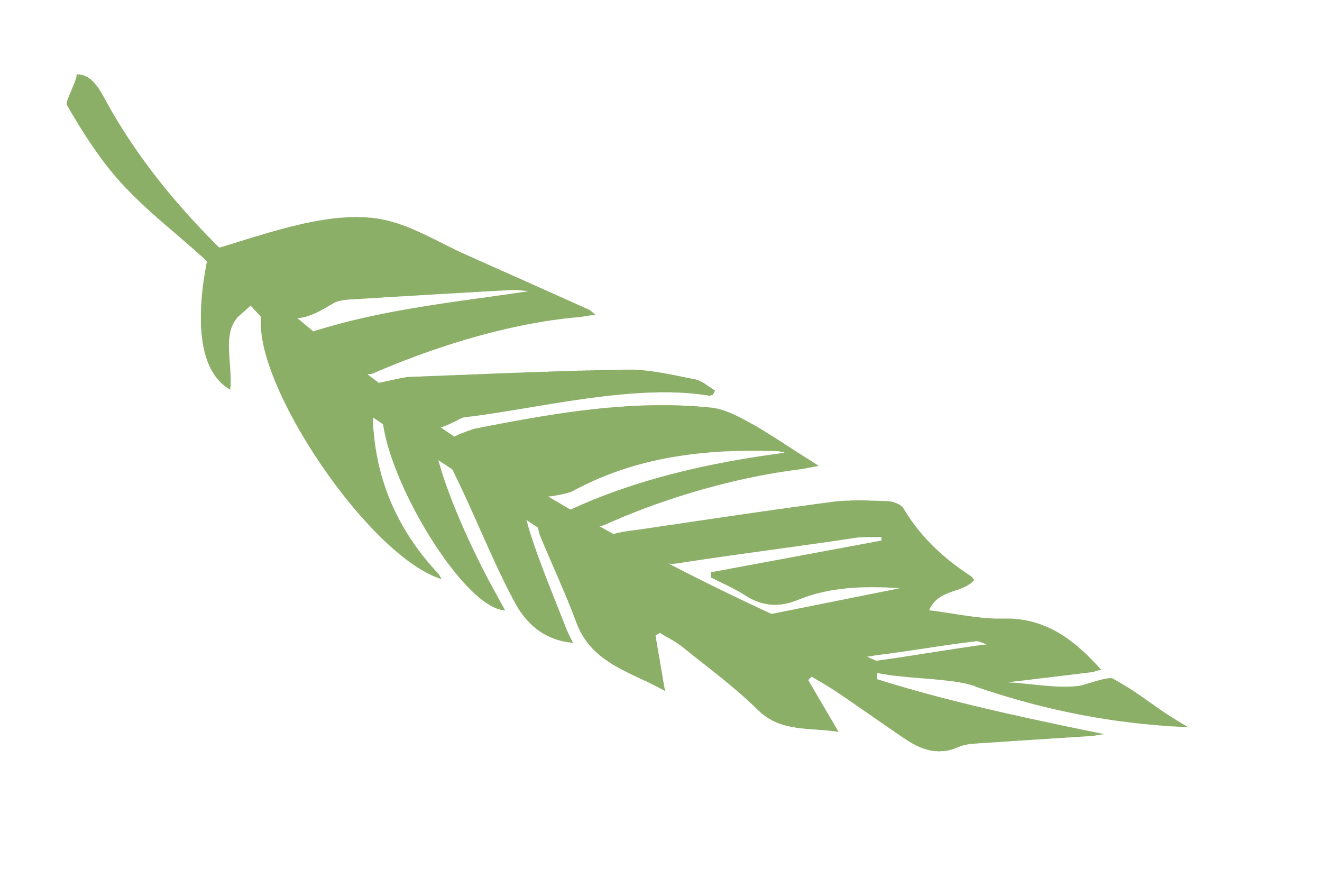 birdiecard feathers-16.png