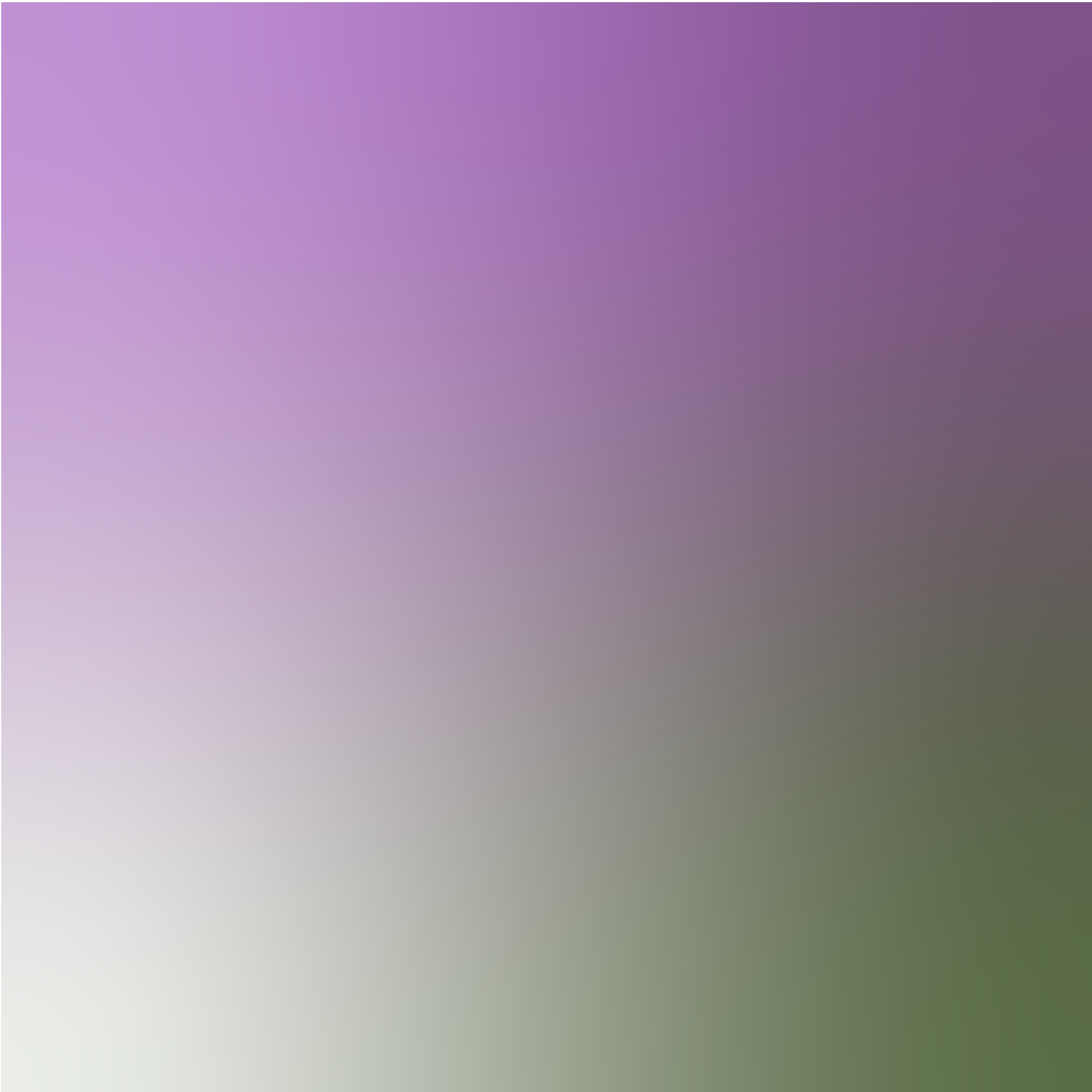 Remi Wolf Tour Promotion