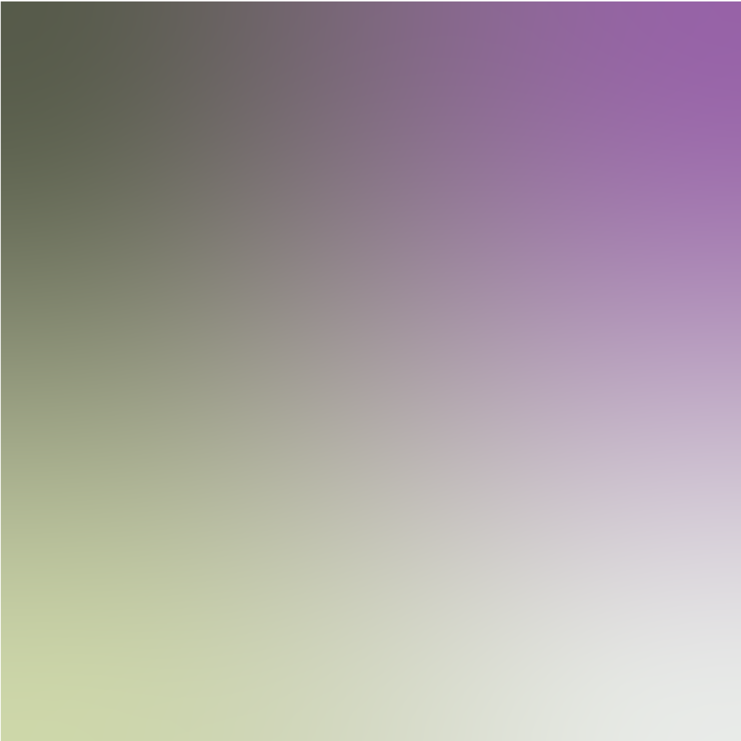 All Belgium Internship