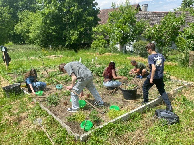 Ein Tag auf der Rössliwiese: Gärtnern für die Zukunft