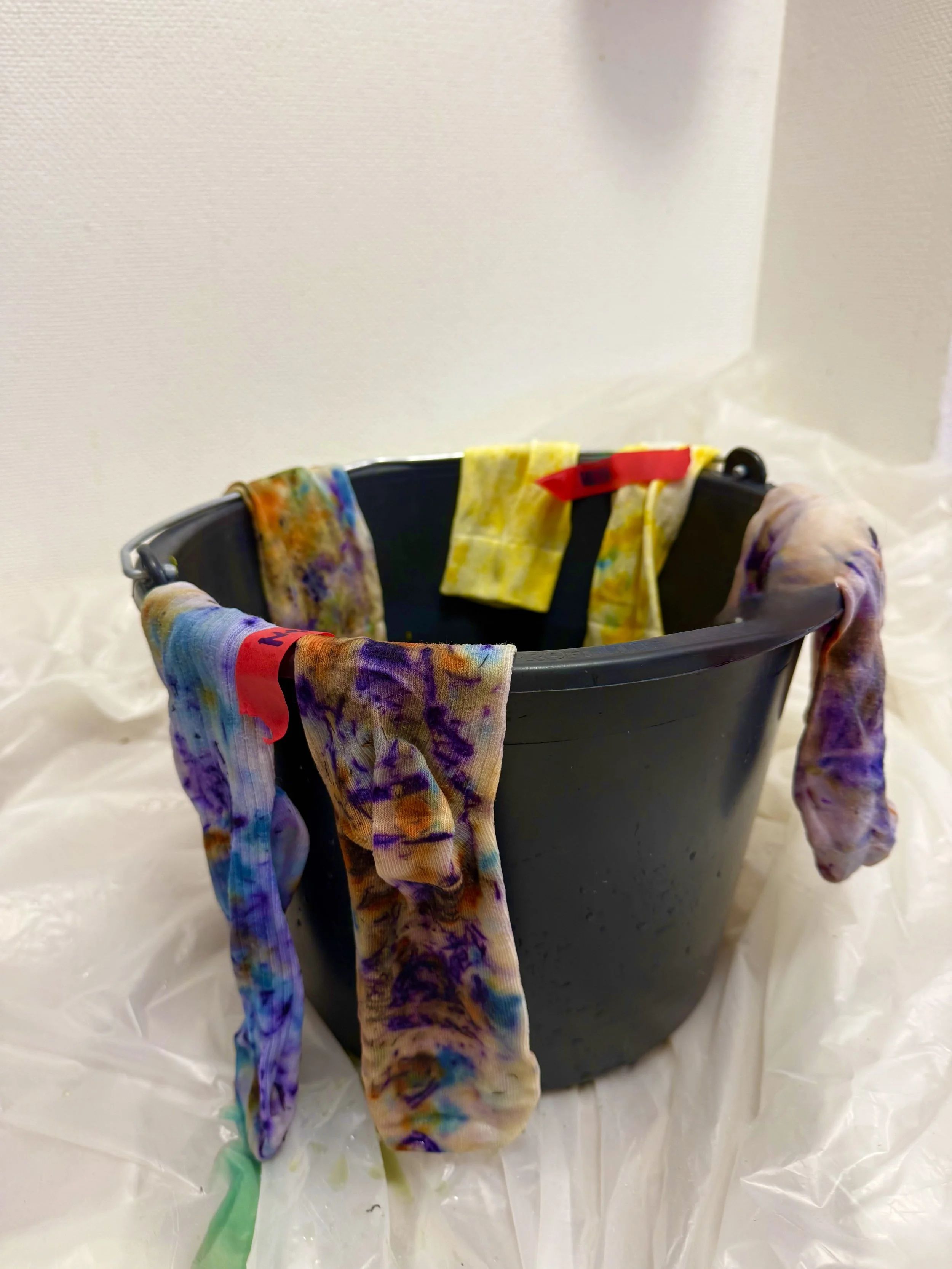 Pflanzenfarben statt Chemie