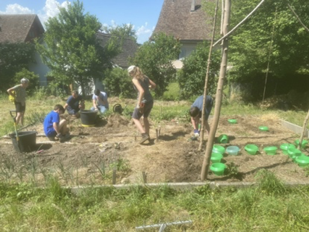 Neues von der Rössliwiese