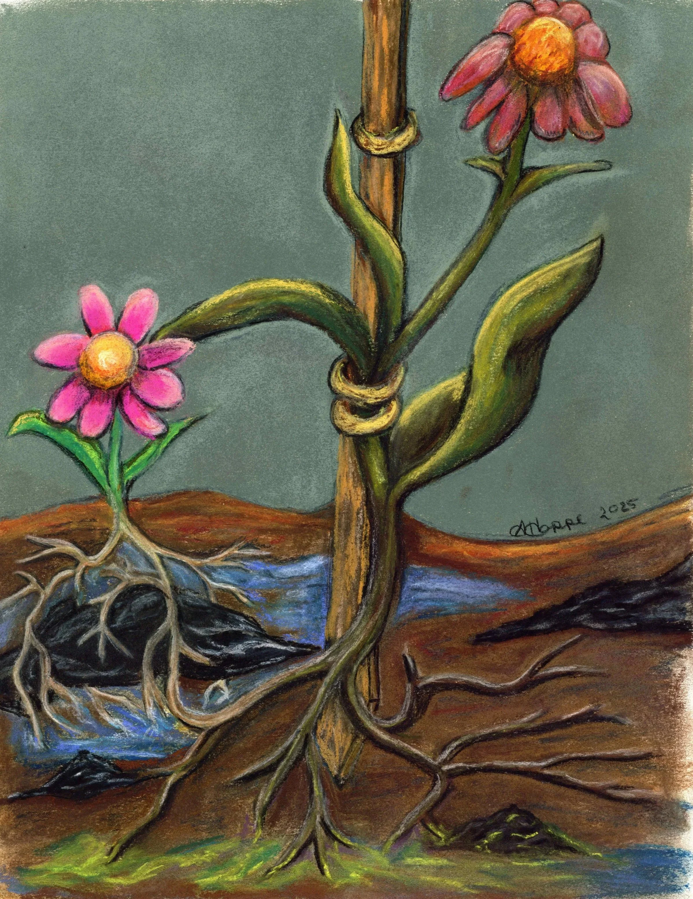 Rooted in Resilience, 11in x 14in. Media: Soft Pastel over Pastel Paper. Year: 2025