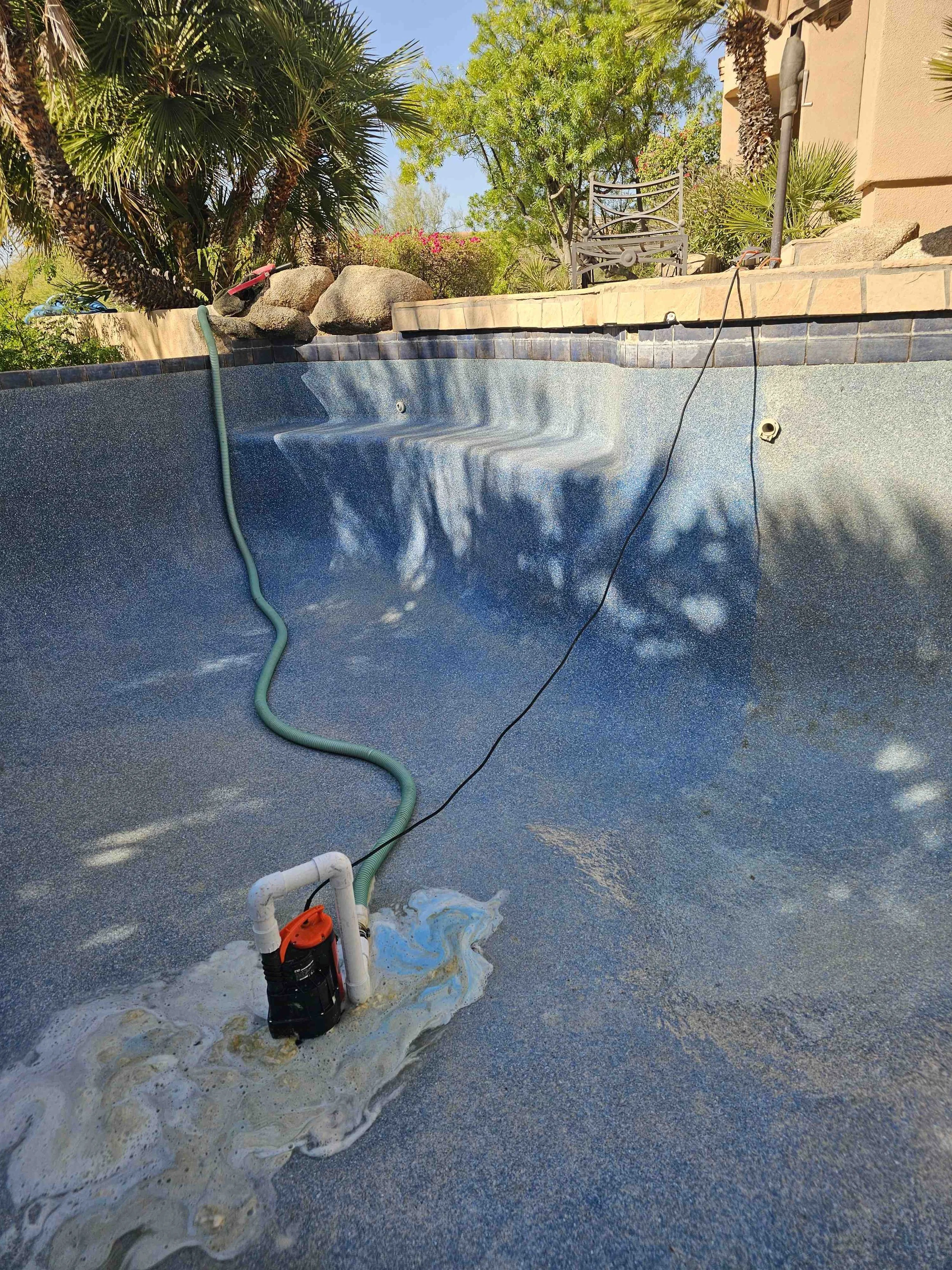 Empty swimming pool with a sump pump and hose for draining, surrounded by a garden with palm trees and stone edging.