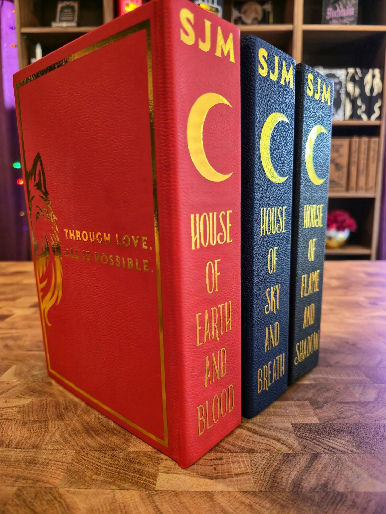 Crescent City by Sarah J. Maas (vegan leather)