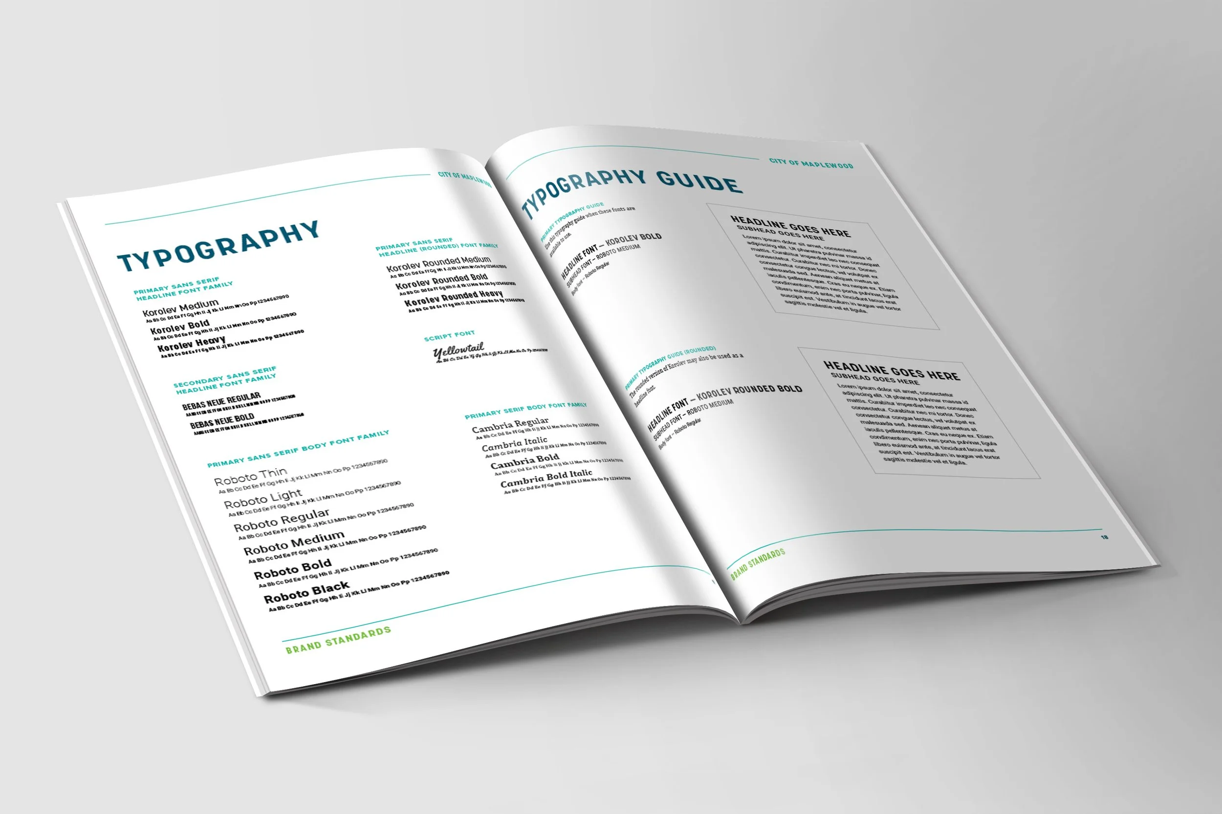 MAP Brand Standards Mockup 3.jpg