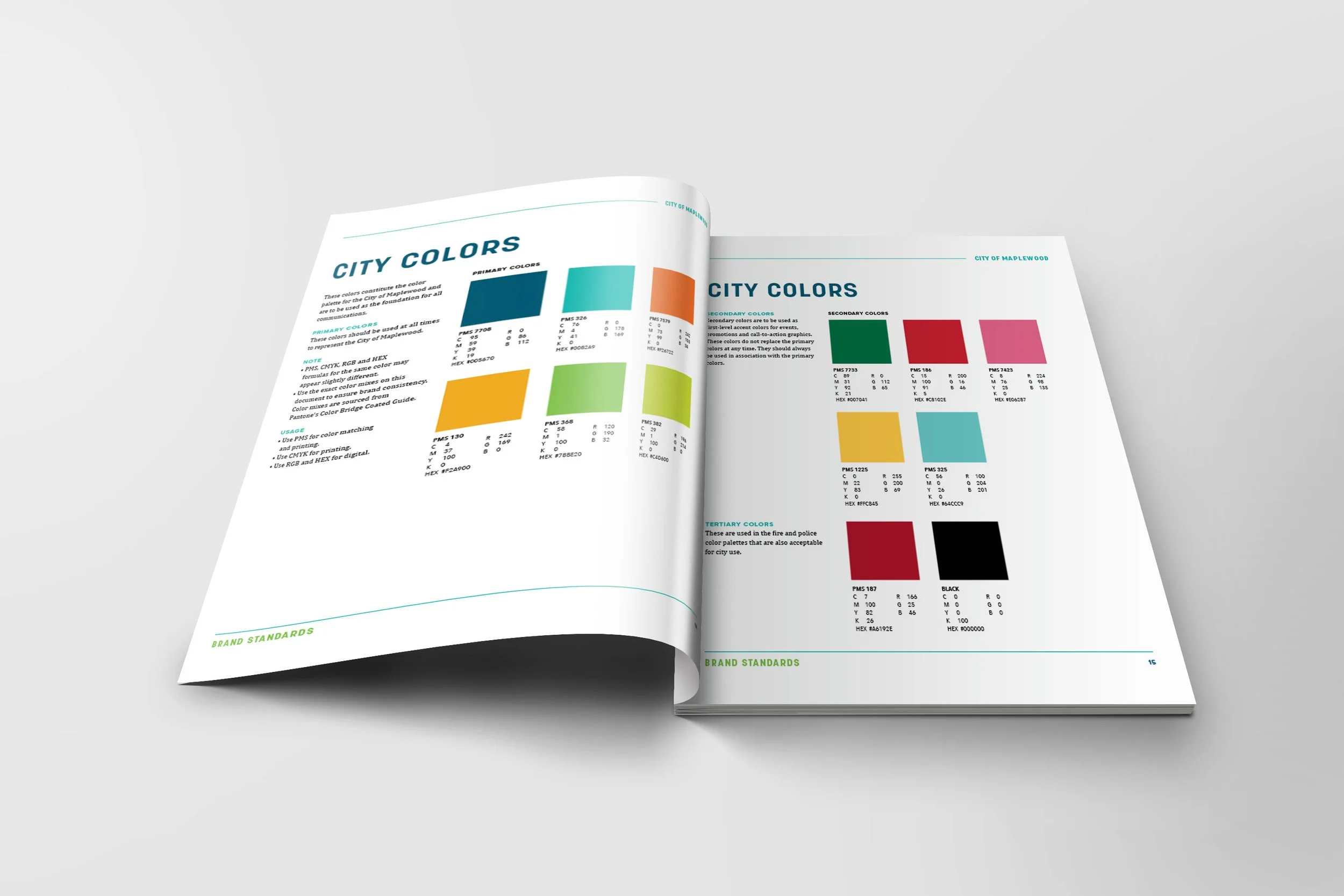 MAP Brand Standards Mockup 4.jpg