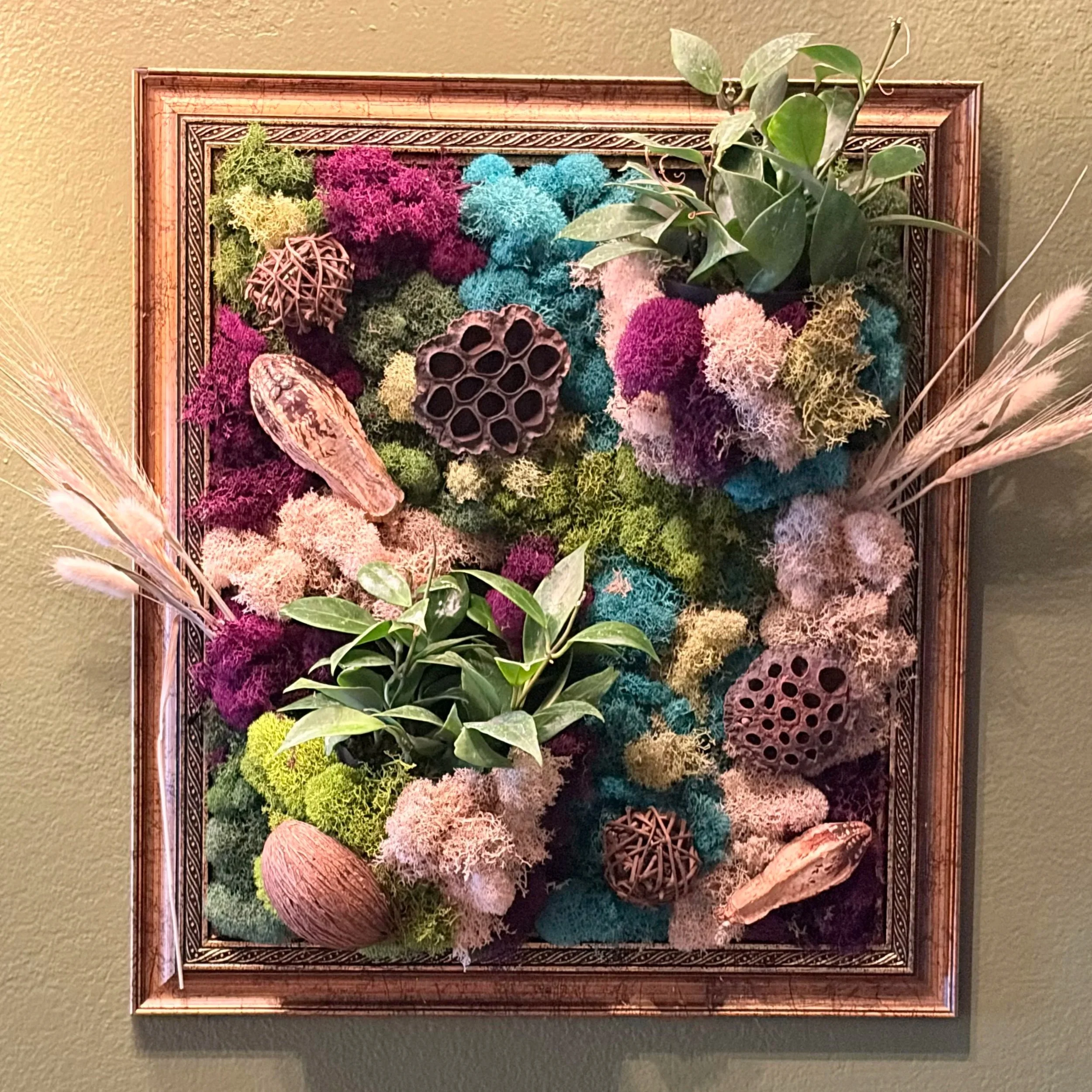 Moss Art, for Walls 