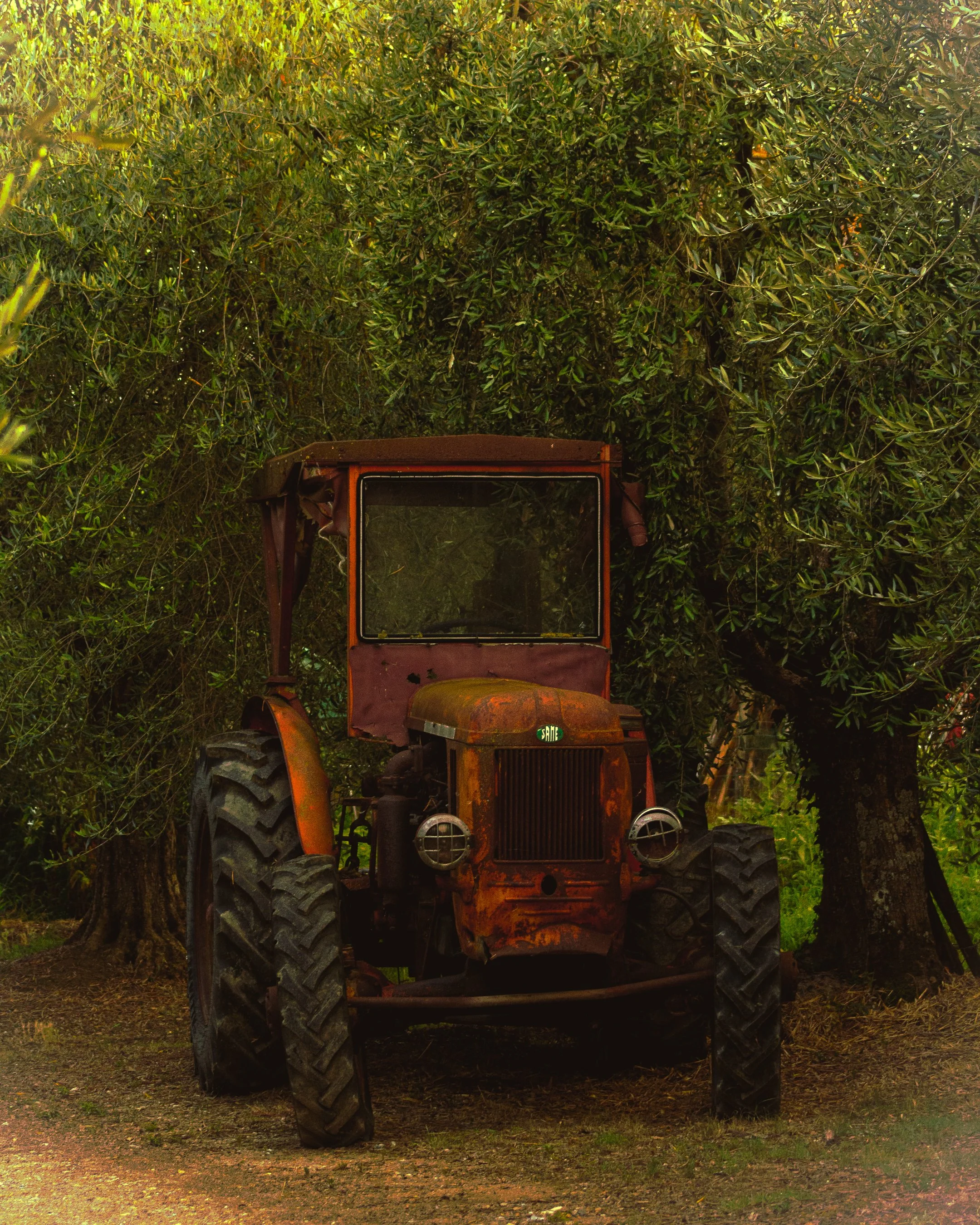 004_Tractor_01.jpg