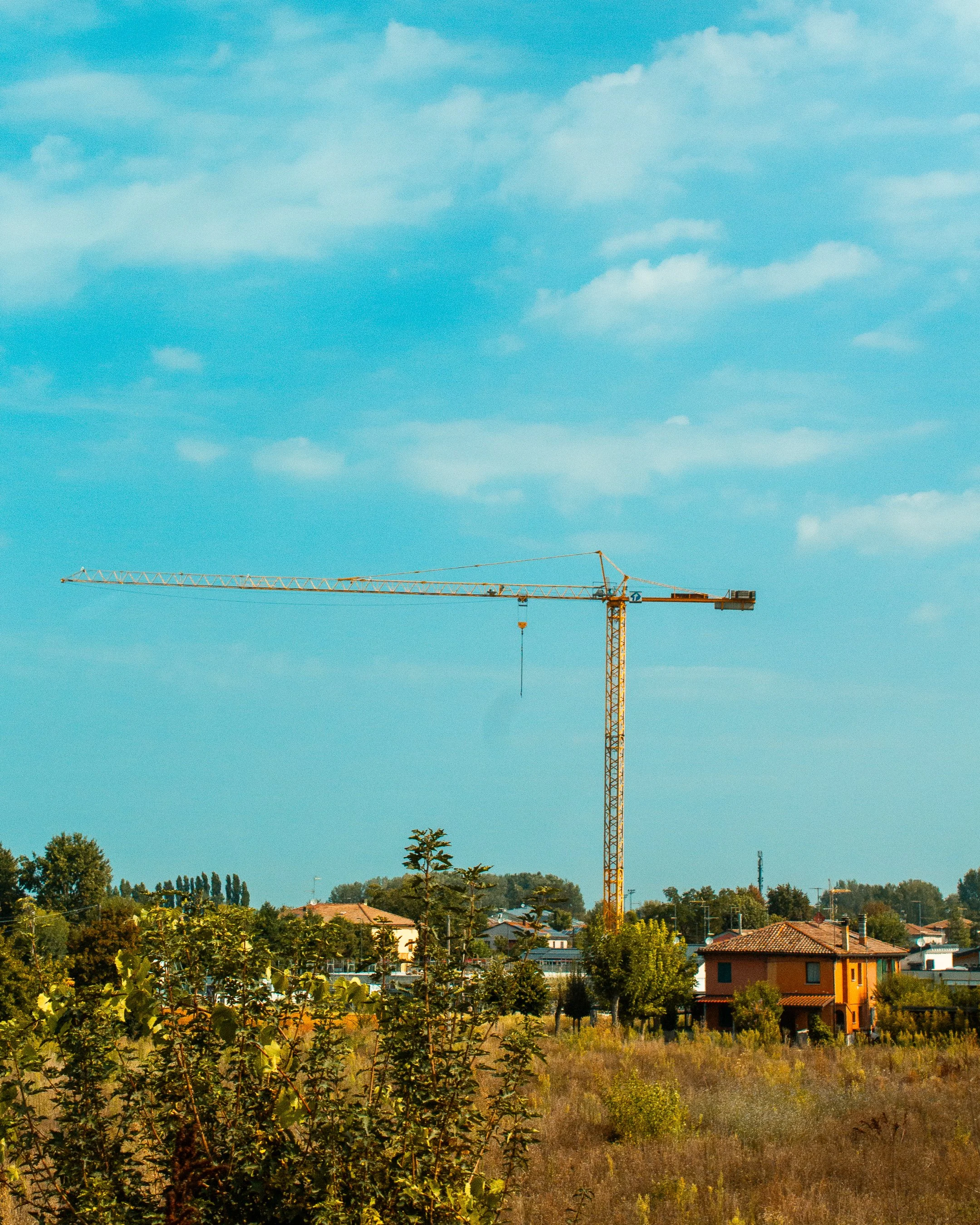 Crane_001_4x5.jpg