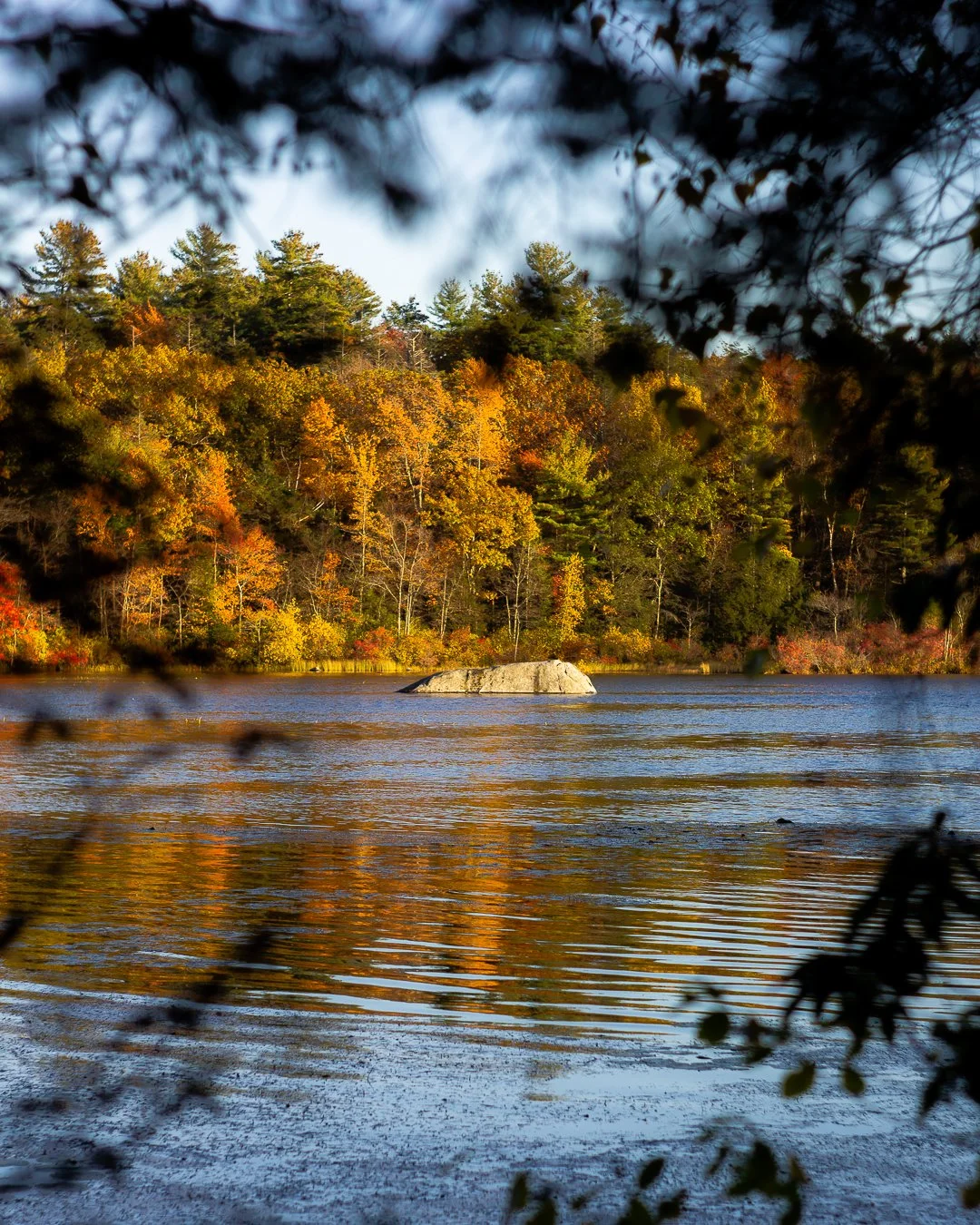 02_Fall_01.1.jpg