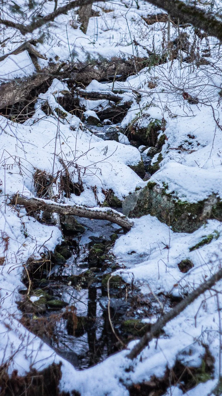 Winter_03.1.jpg