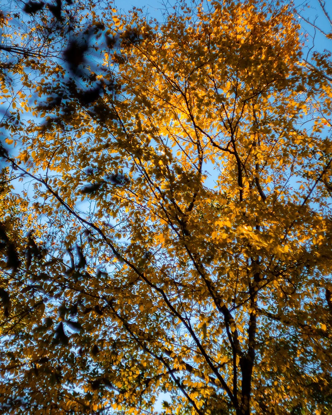 04_Fall_02.1.jpg