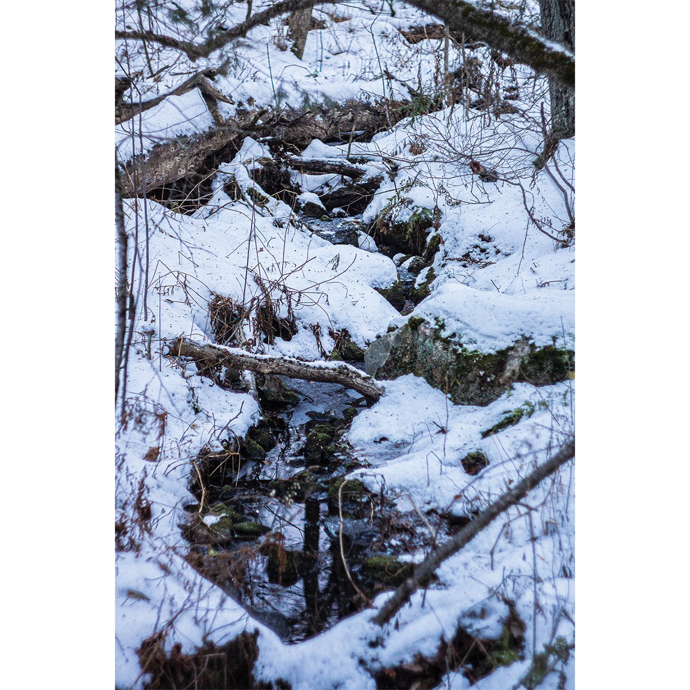 Burr Pond 04.jpg