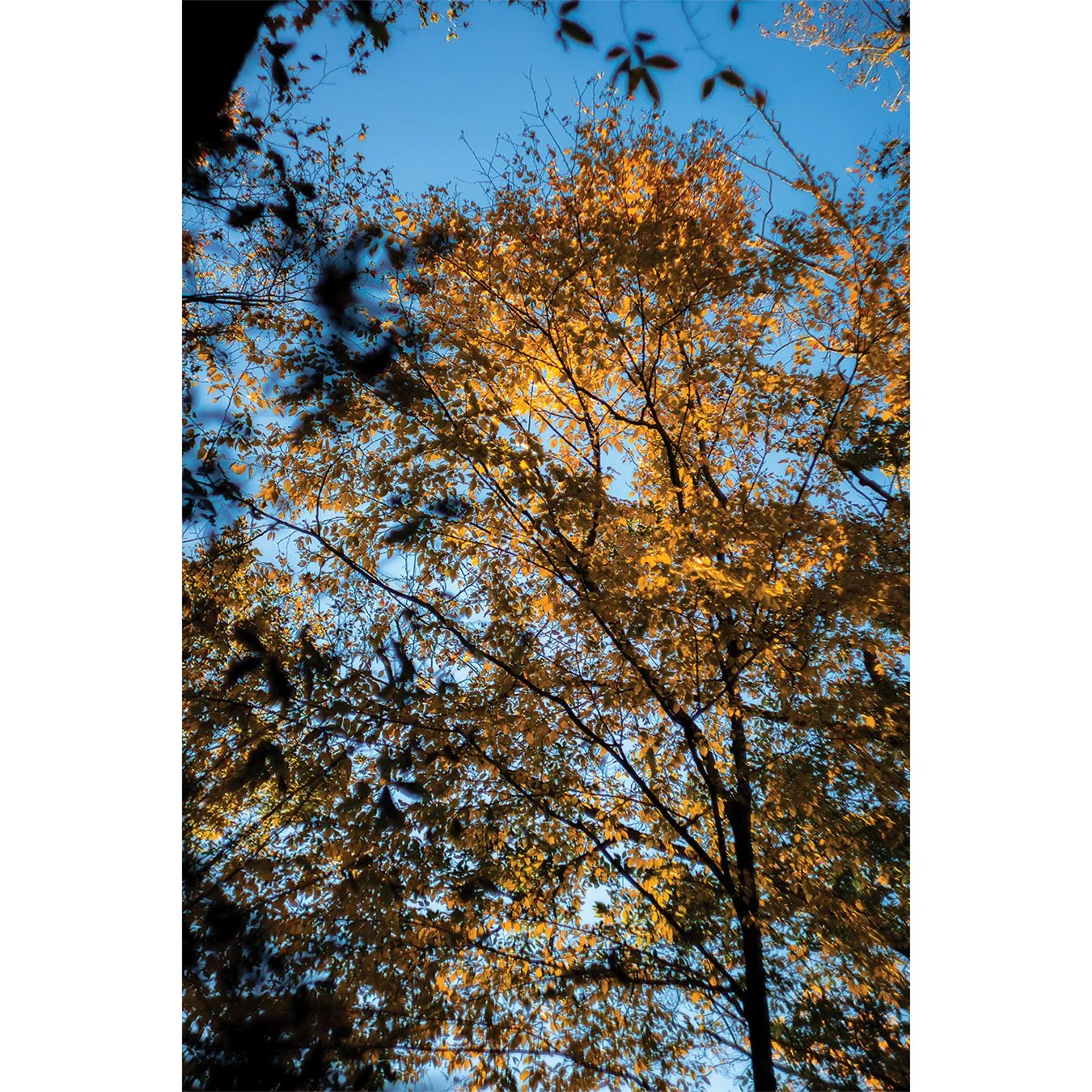 Burr Pond 02.jpg
