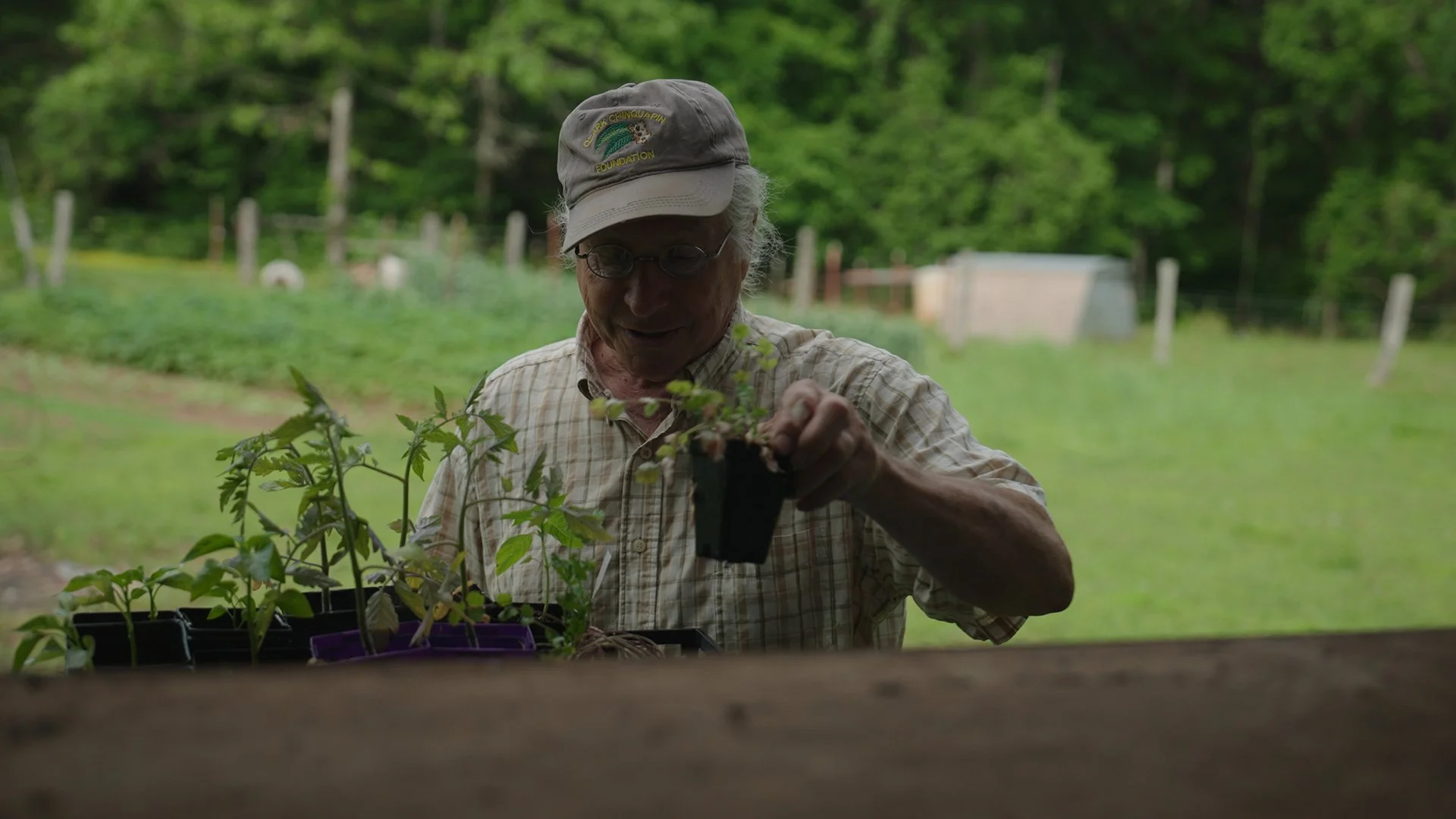 nwalt dailies_3.25.1.jpg