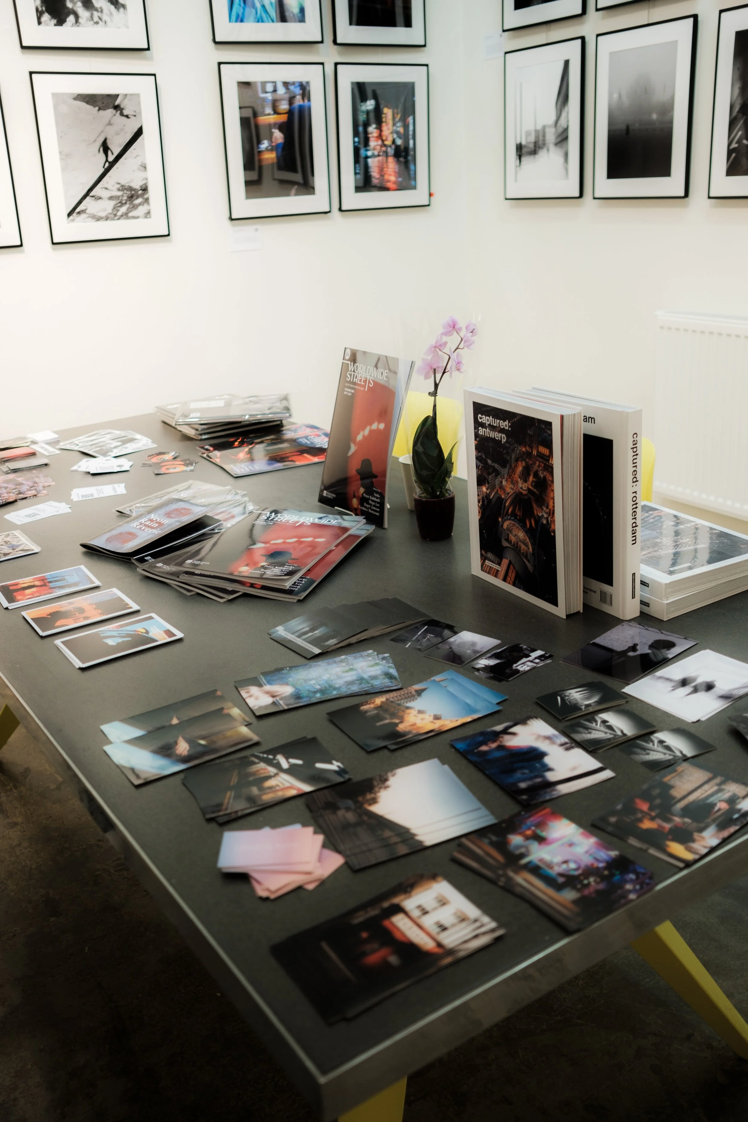 A table displaying various photography books, postcards, and prints, with a small potted orchid in the center, in an art gallery with black and white framed photographs on the walls.