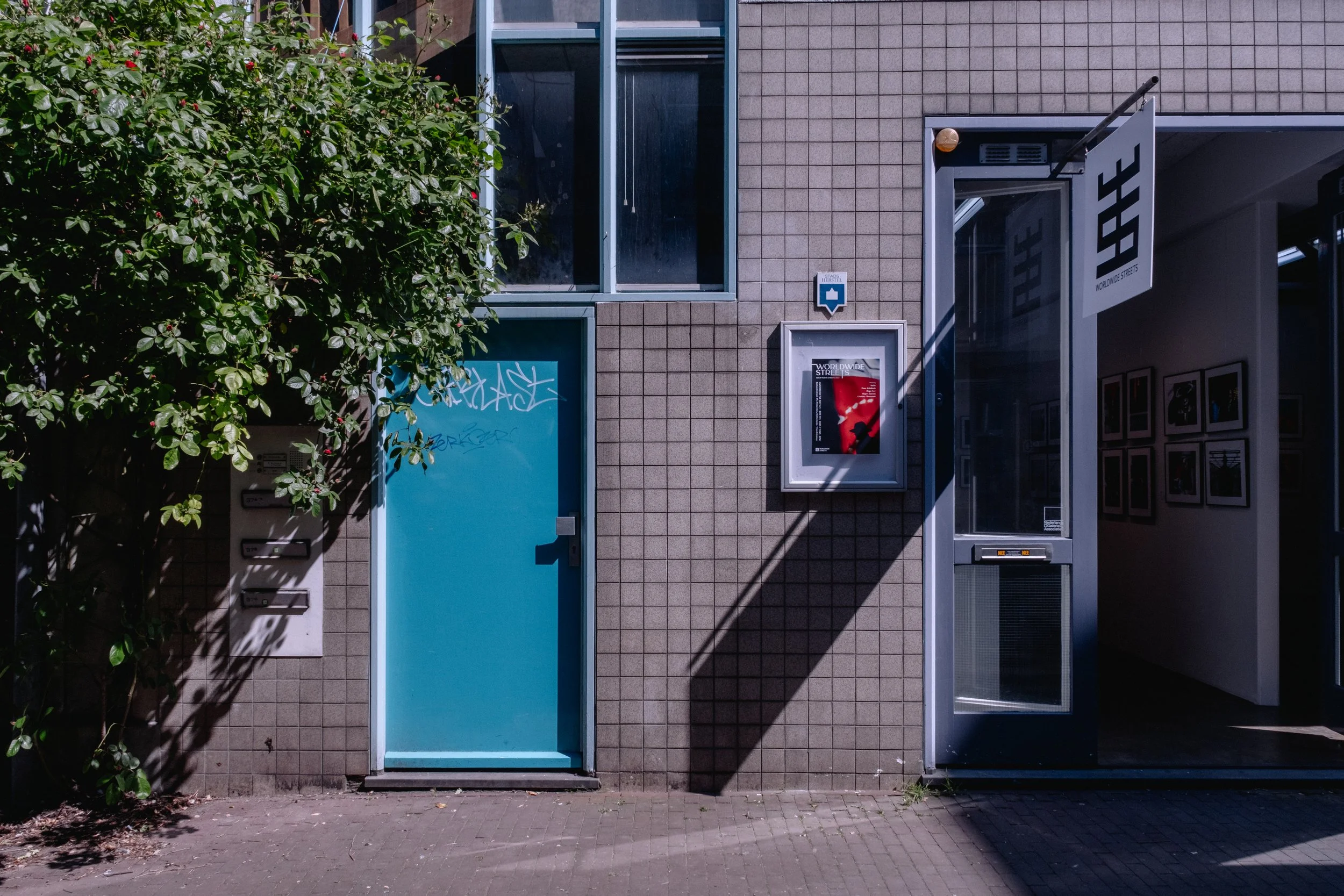 A building entrance with a bright blue door, a tree on the left, and a poster and gallery on the right wall. The entrance has a sign that says 'World Wide Streets' and a smaller sign above the poster.