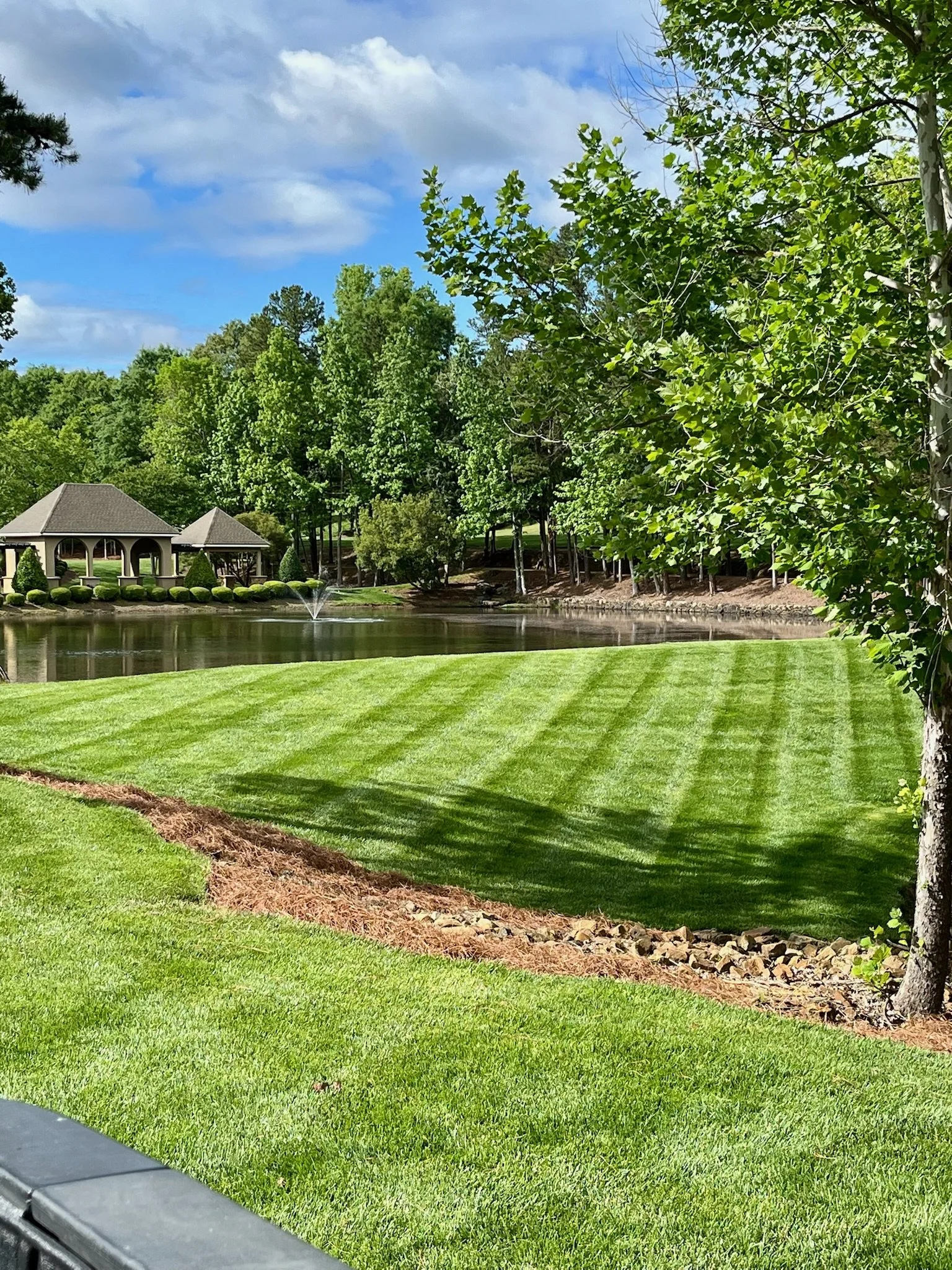Grass cutting services concord nc.jpeg