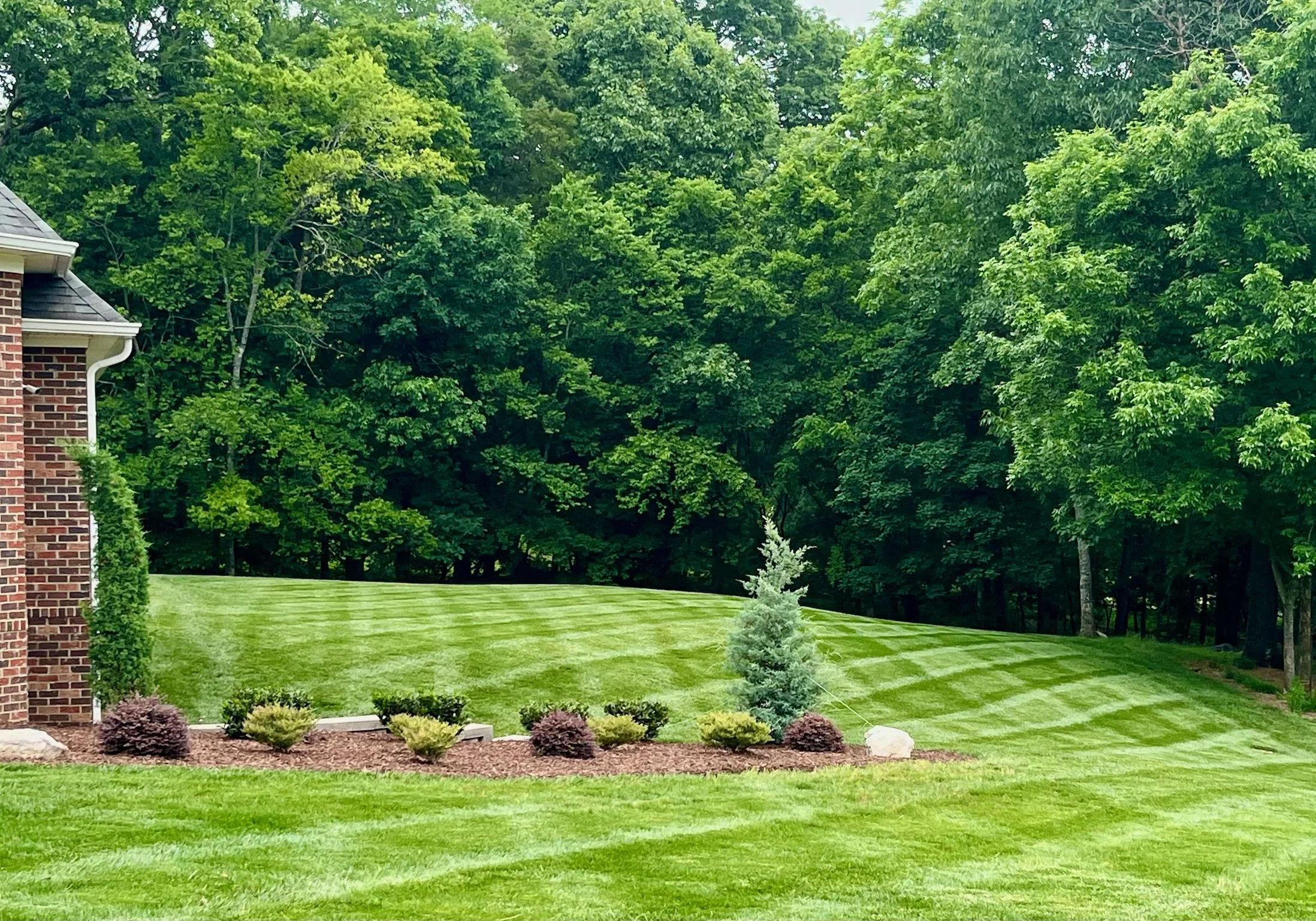 Insect & Pest Control Concord NC.jpeg