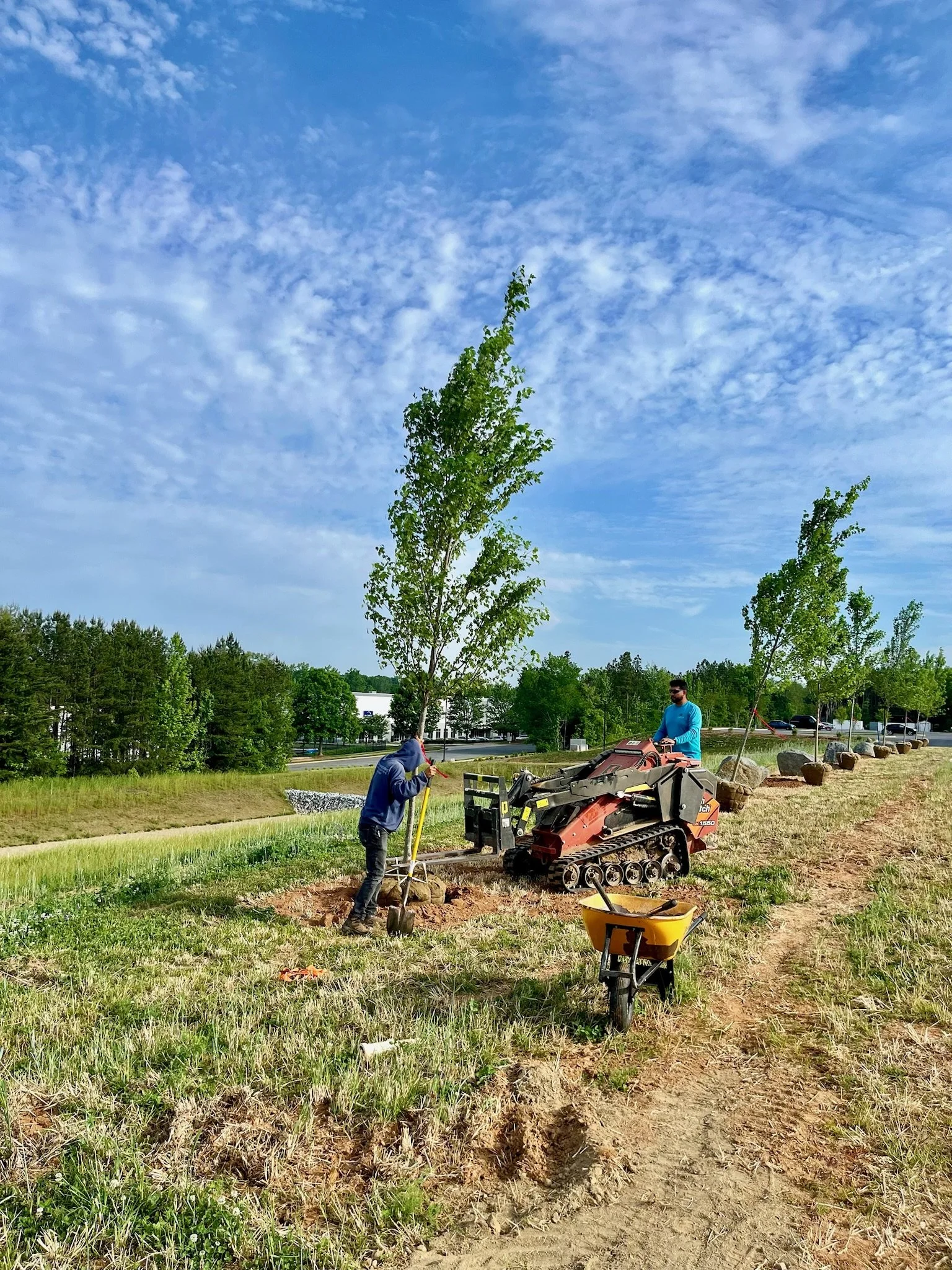 New Construction Tree Planting Conocrd NC.jpeg