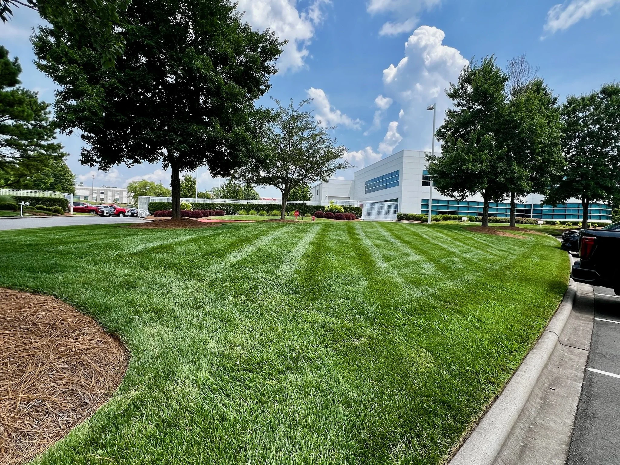 Lawn Maintenance Concord NC.jpeg